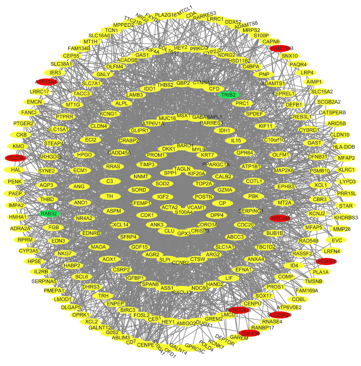 Biomolecules 13 00406 g007