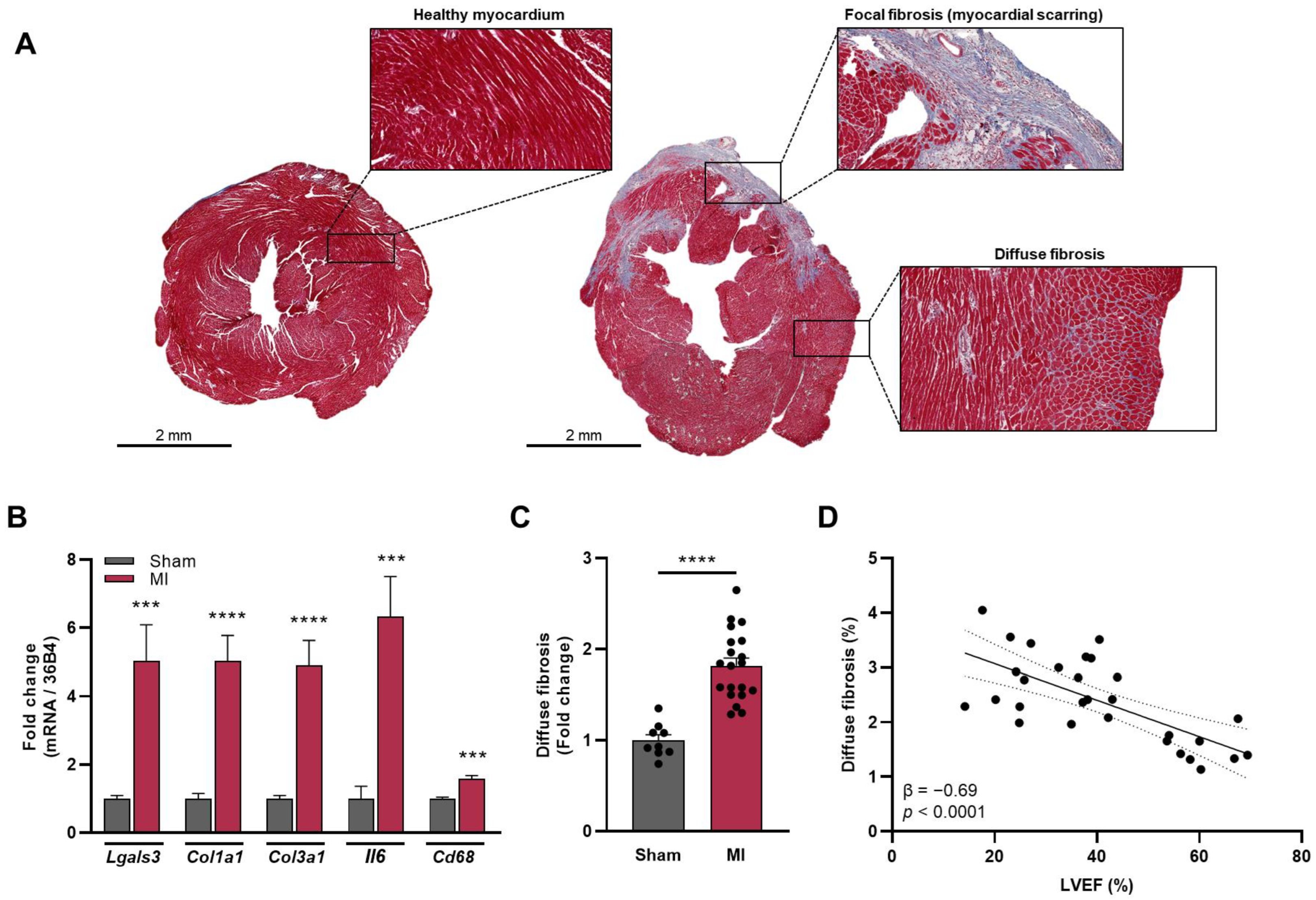 Biomolecules 13 00410 g001