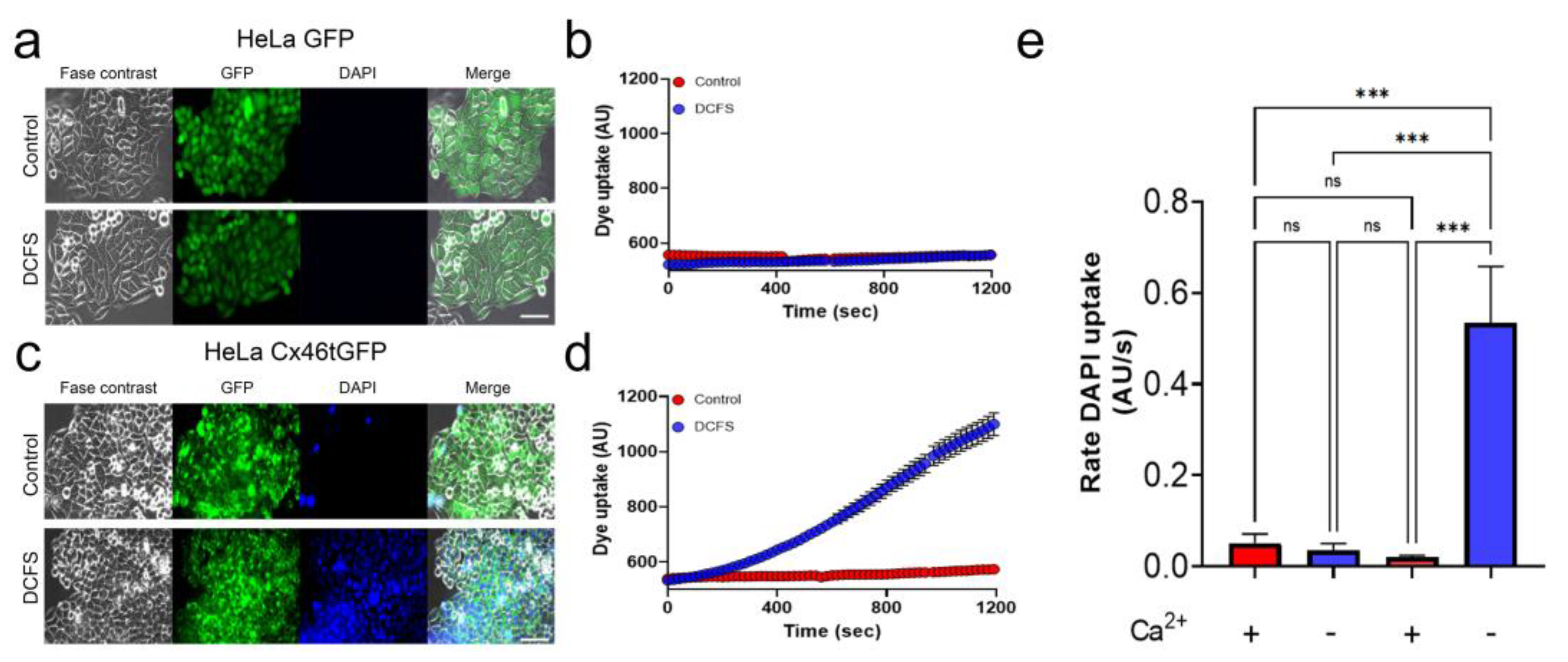 Biomolecules 13 00411 g001