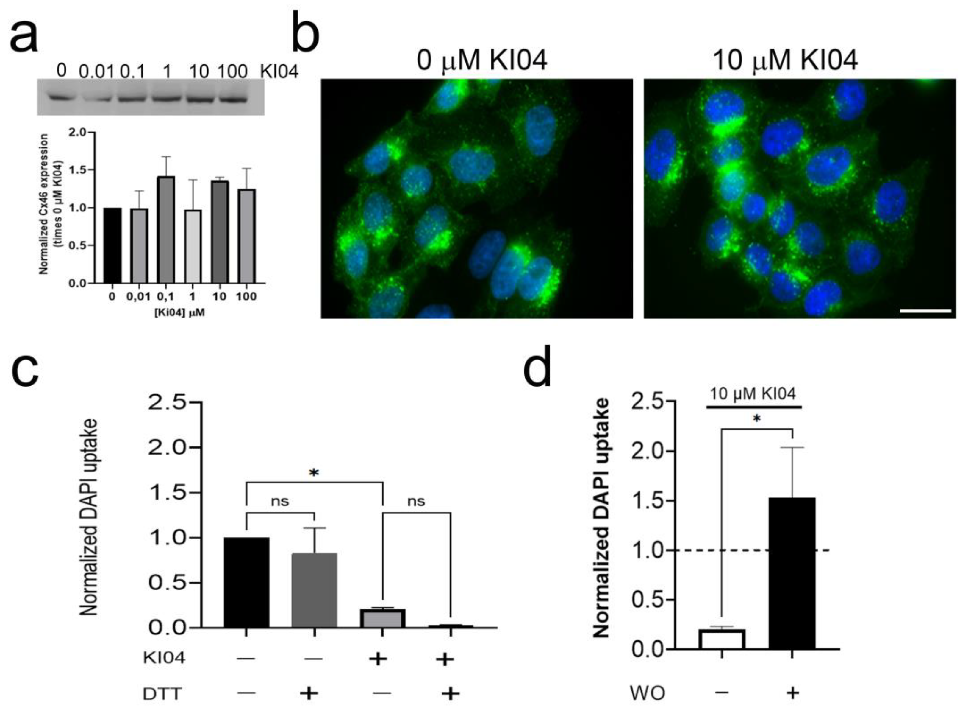 Biomolecules 13 00411 g003