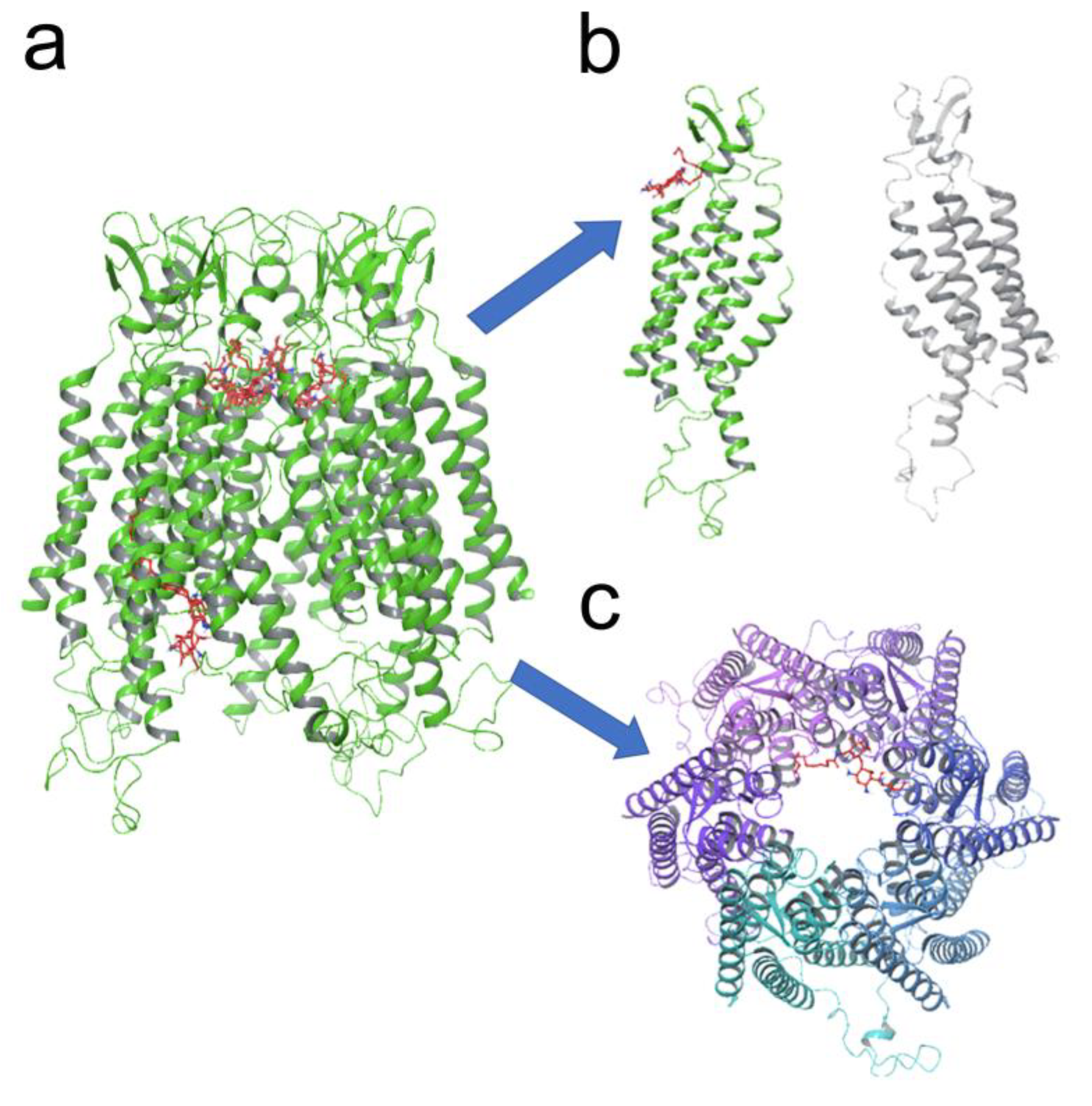 Biomolecules 13 00411 g005