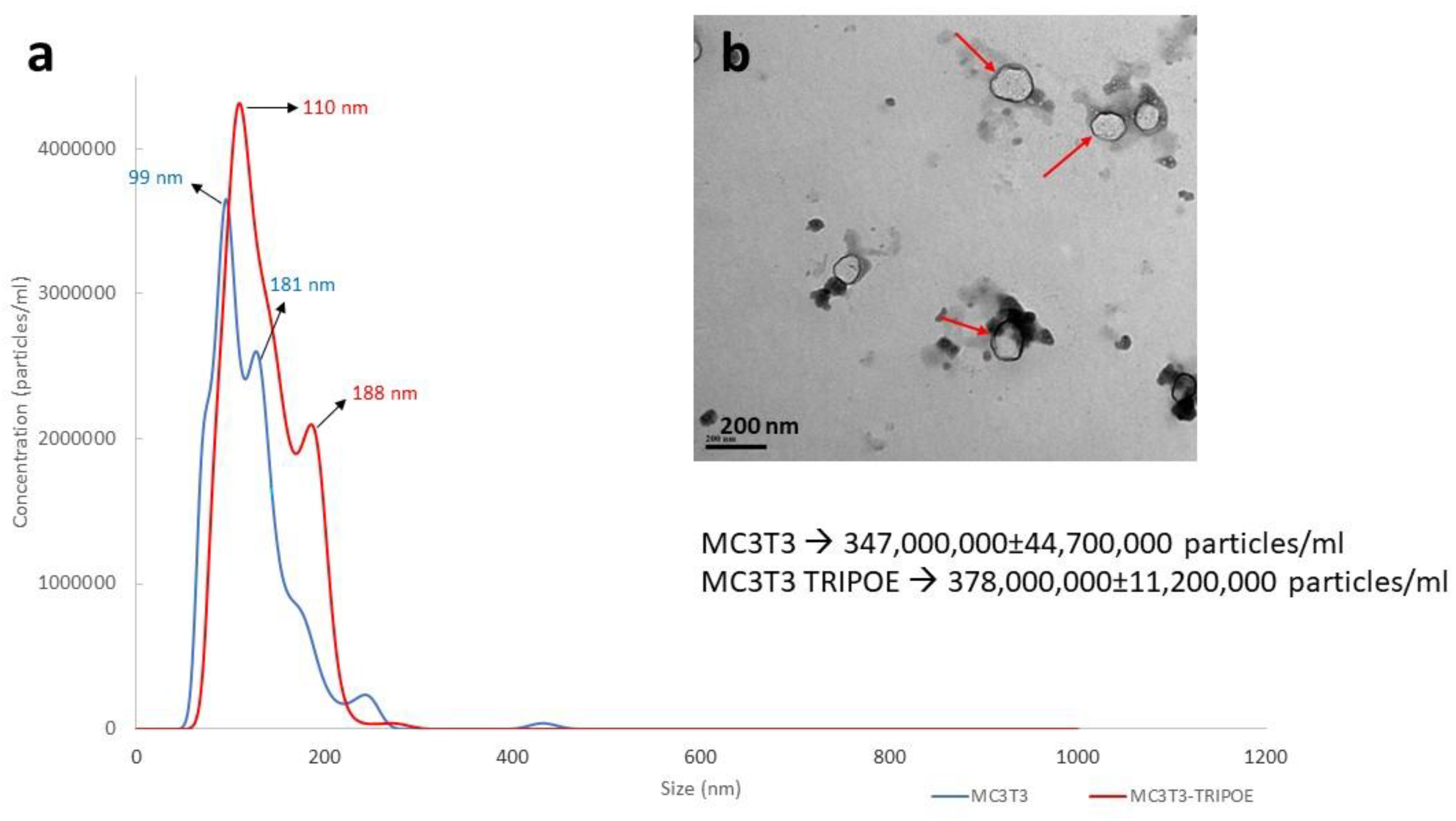 Biomolecules 13 00412 g005