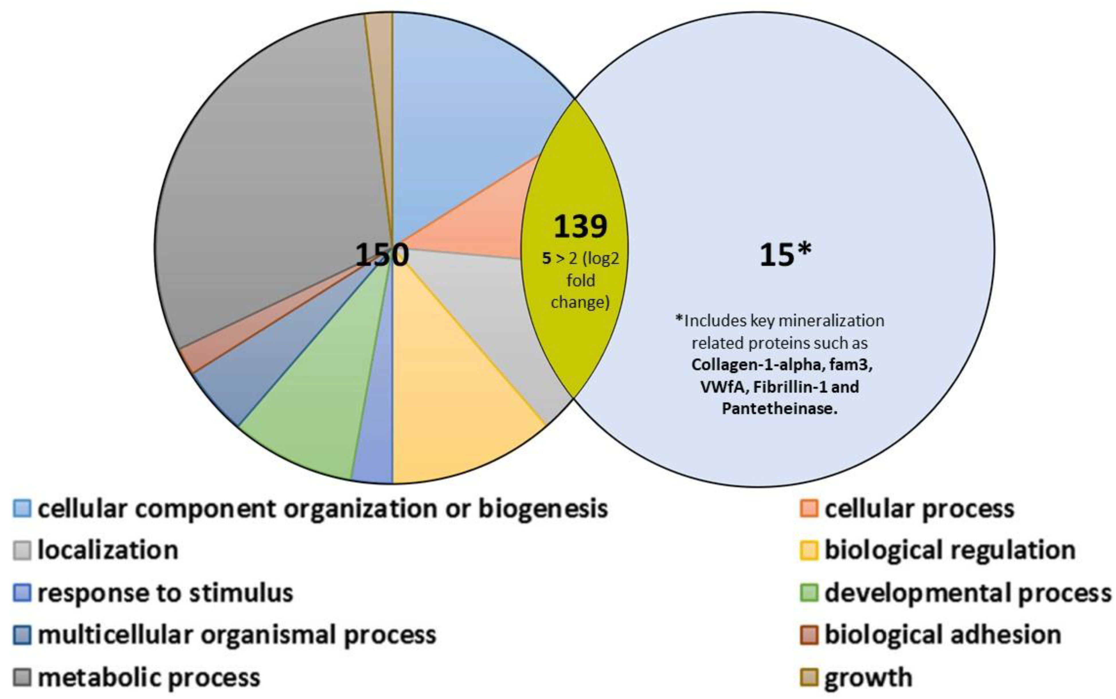 Biomolecules 13 00412 g006