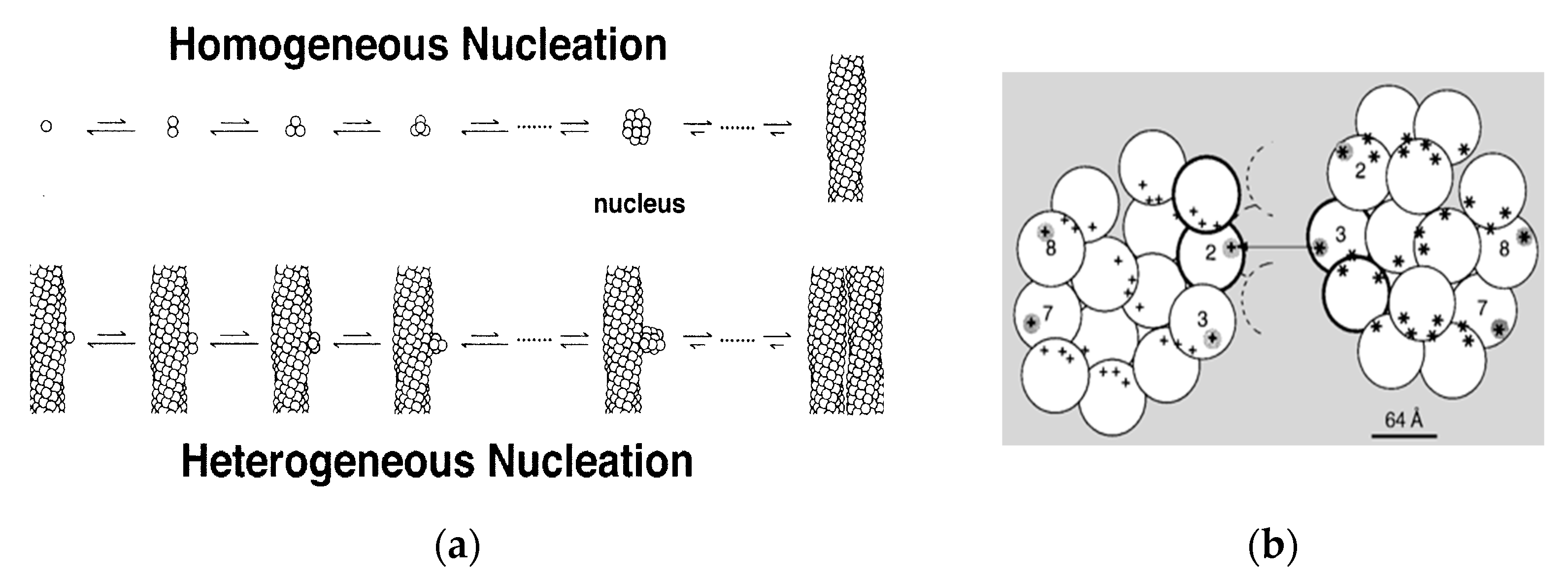 Biomolecules 13 00413 g002