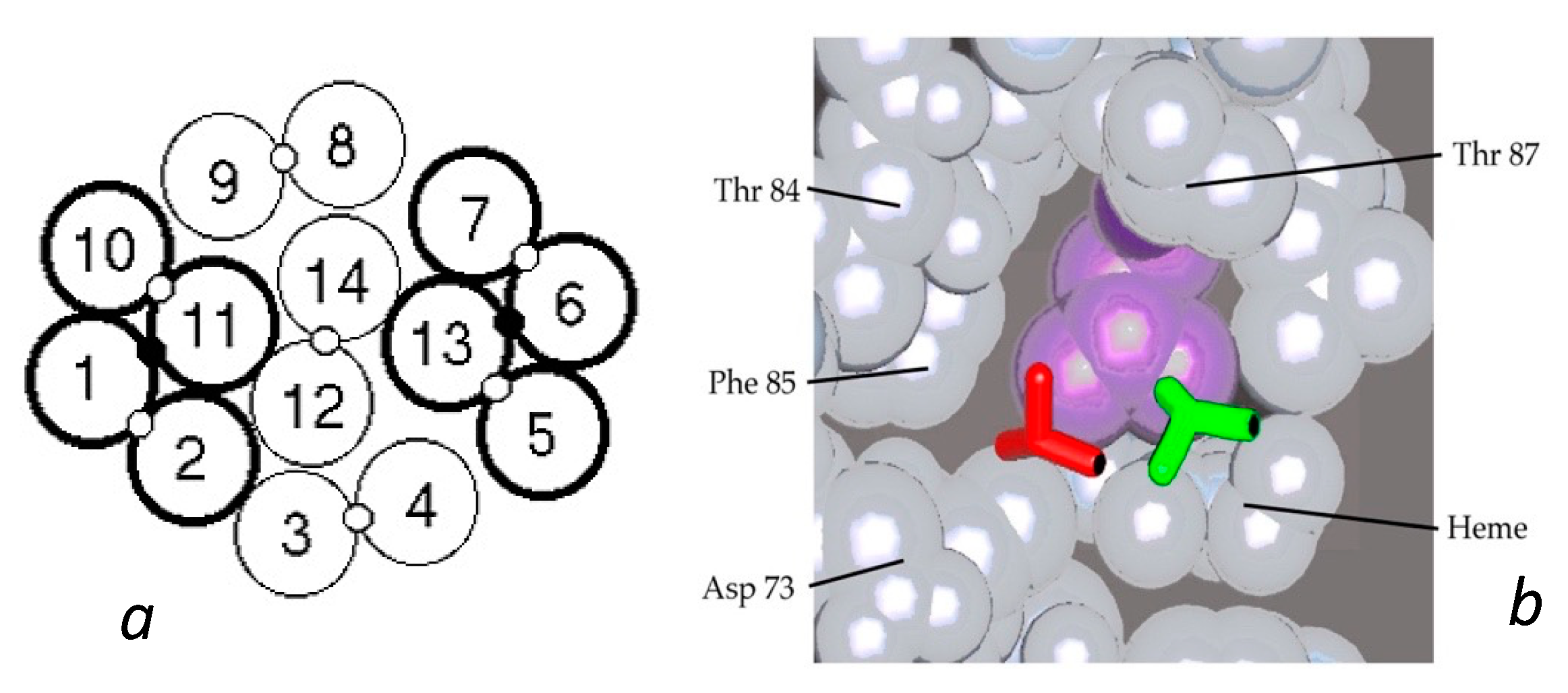 Biomolecules 13 00413 g003