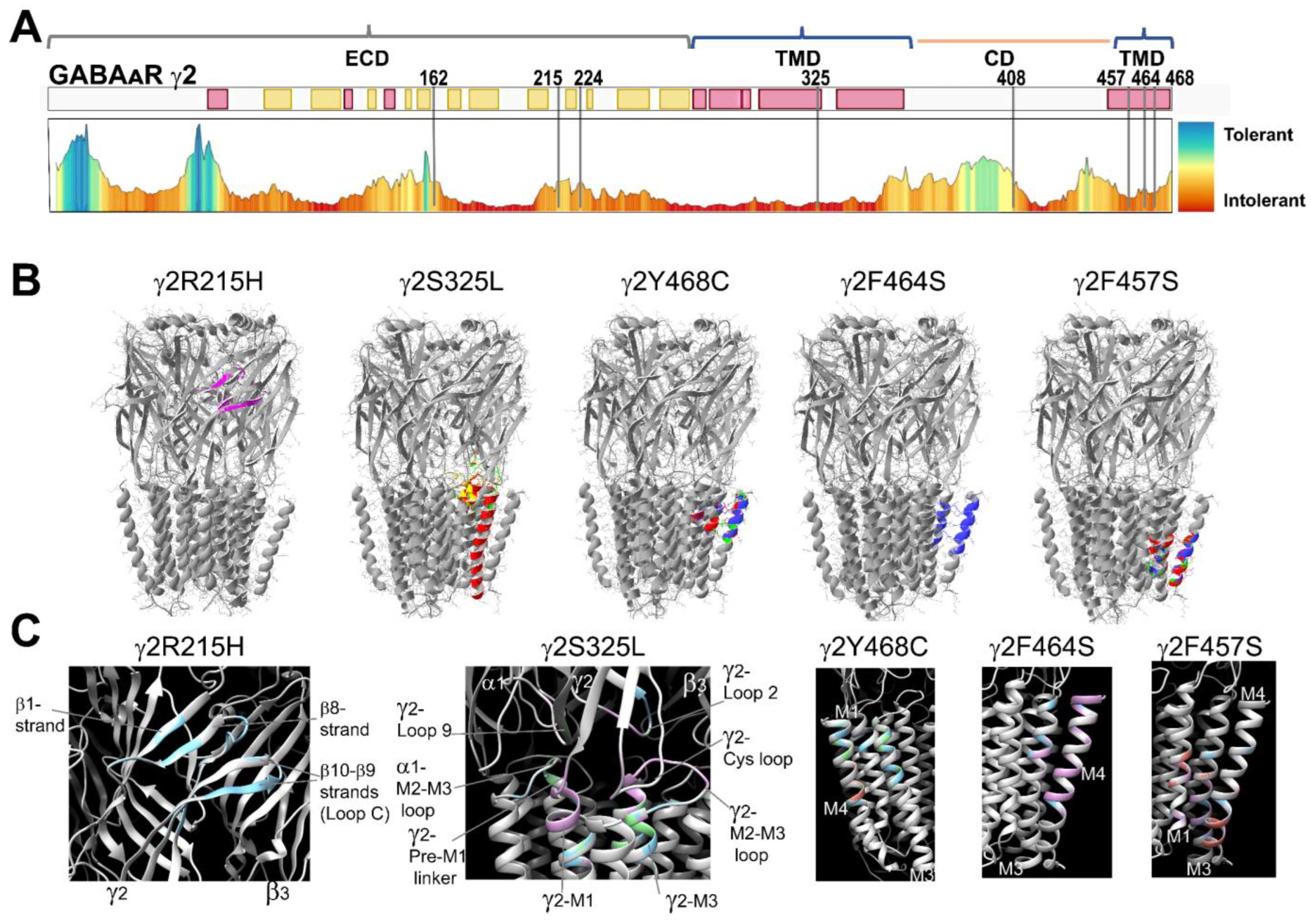 Biomolecules 13 00414 g002 Biomolecules 13 00414 g002