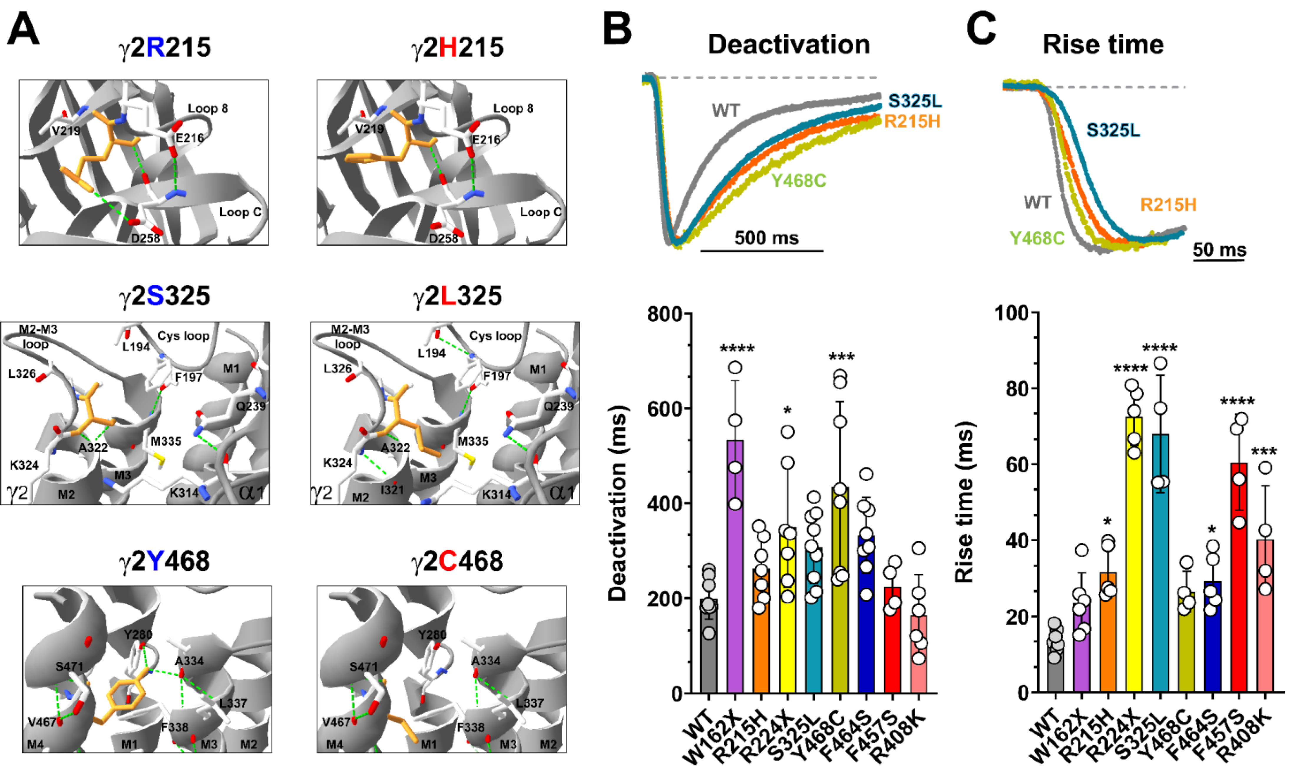 Biomolecules 13 00414 g003 Biomolecules 13 00414 g003