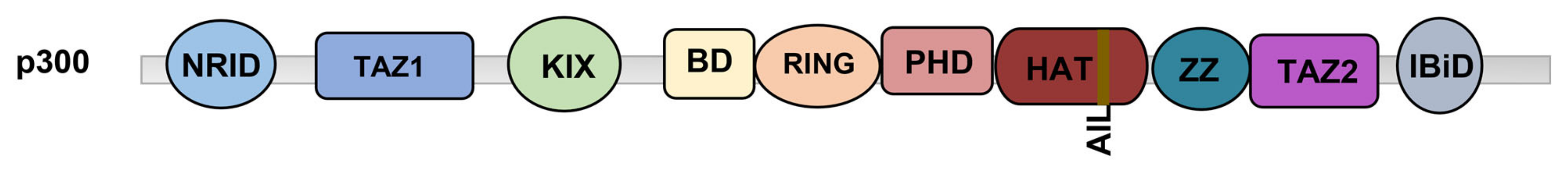 Biomolecules 13 00417 g001 Biomolecules 13 00417 g001
