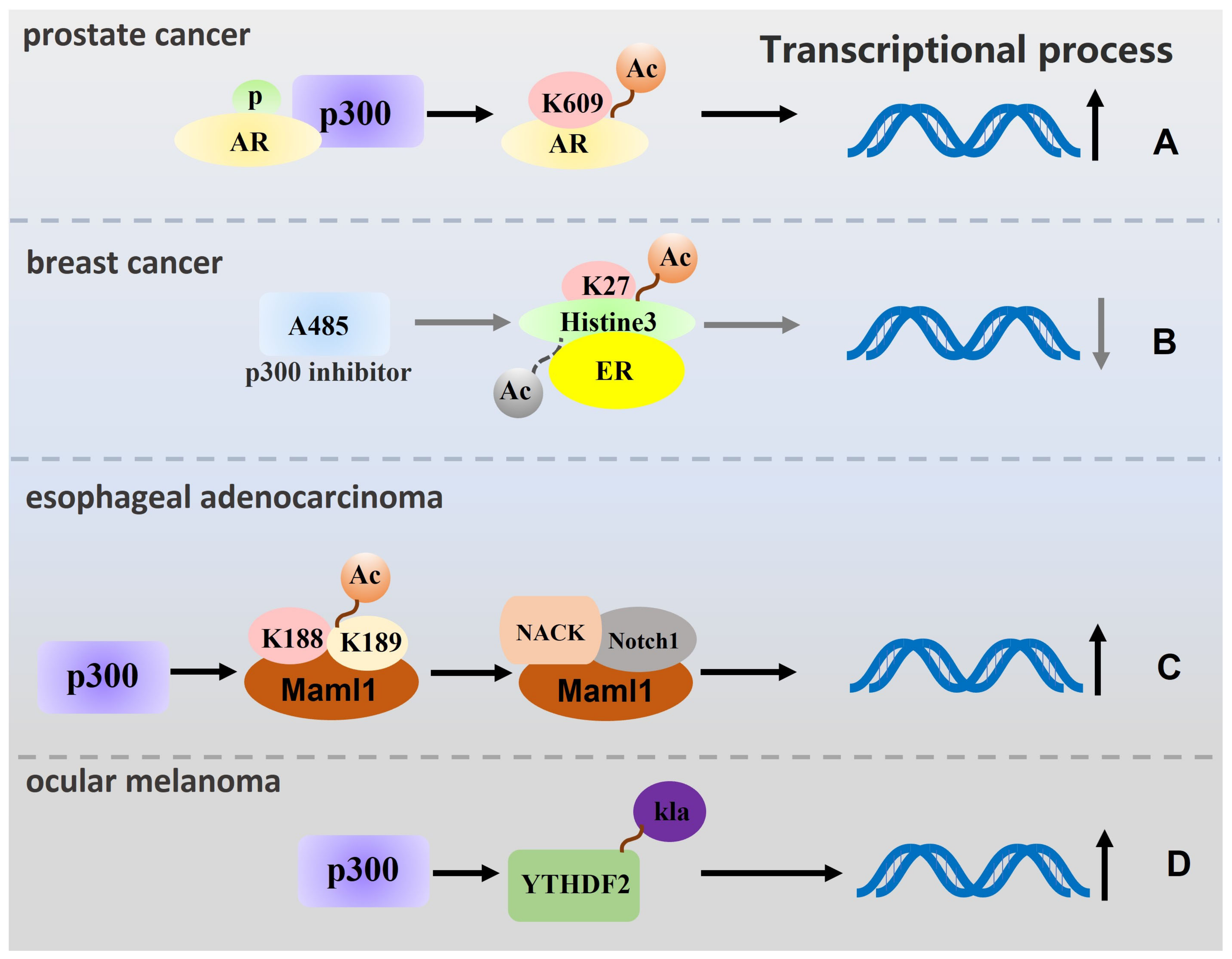 Biomolecules 13 00417 g003 Biomolecules 13 00417 g003