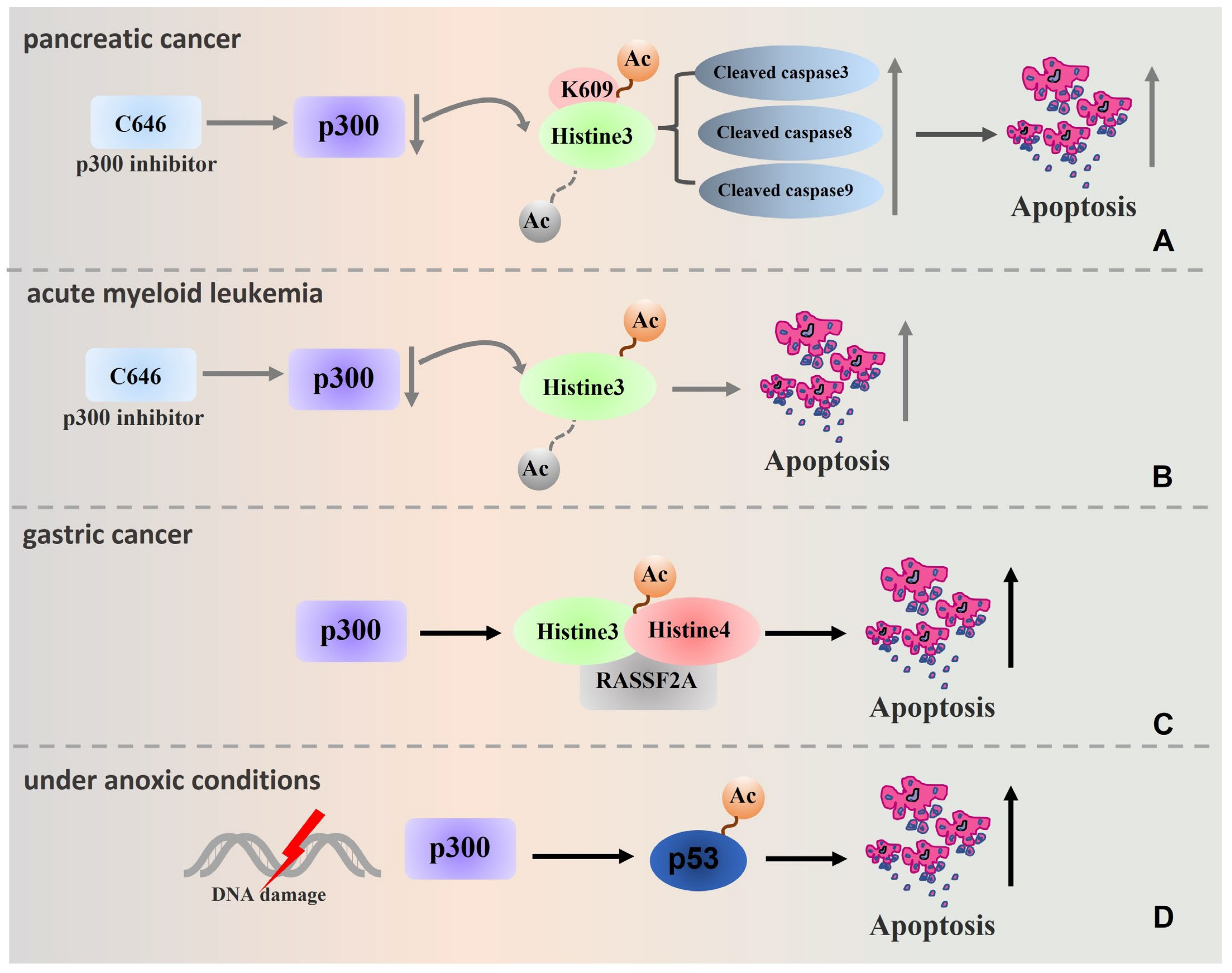 Biomolecules 13 00417 g004 Biomolecules 13 00417 g004