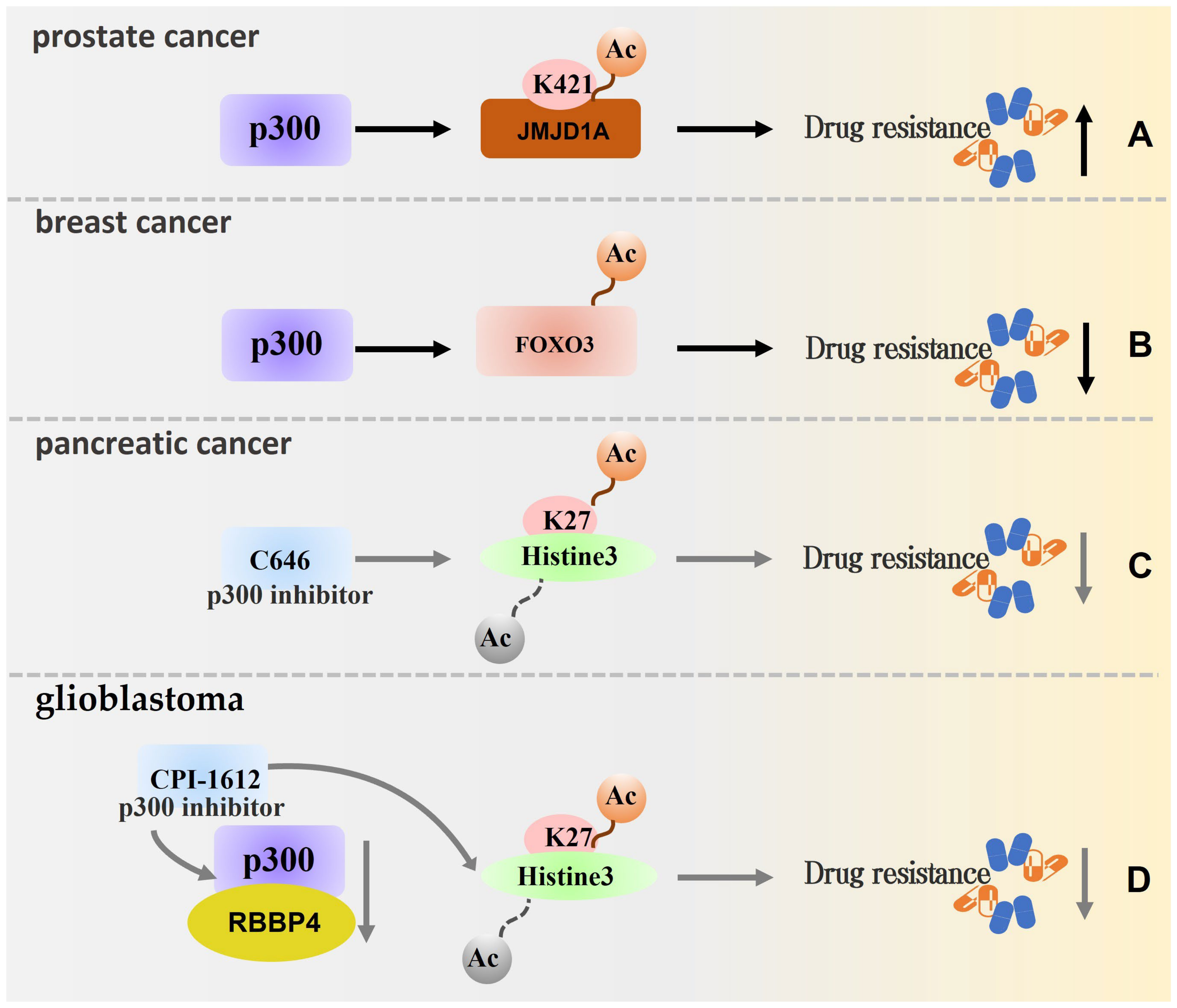 Biomolecules 13 00417 g005 Biomolecules 13 00417 g005