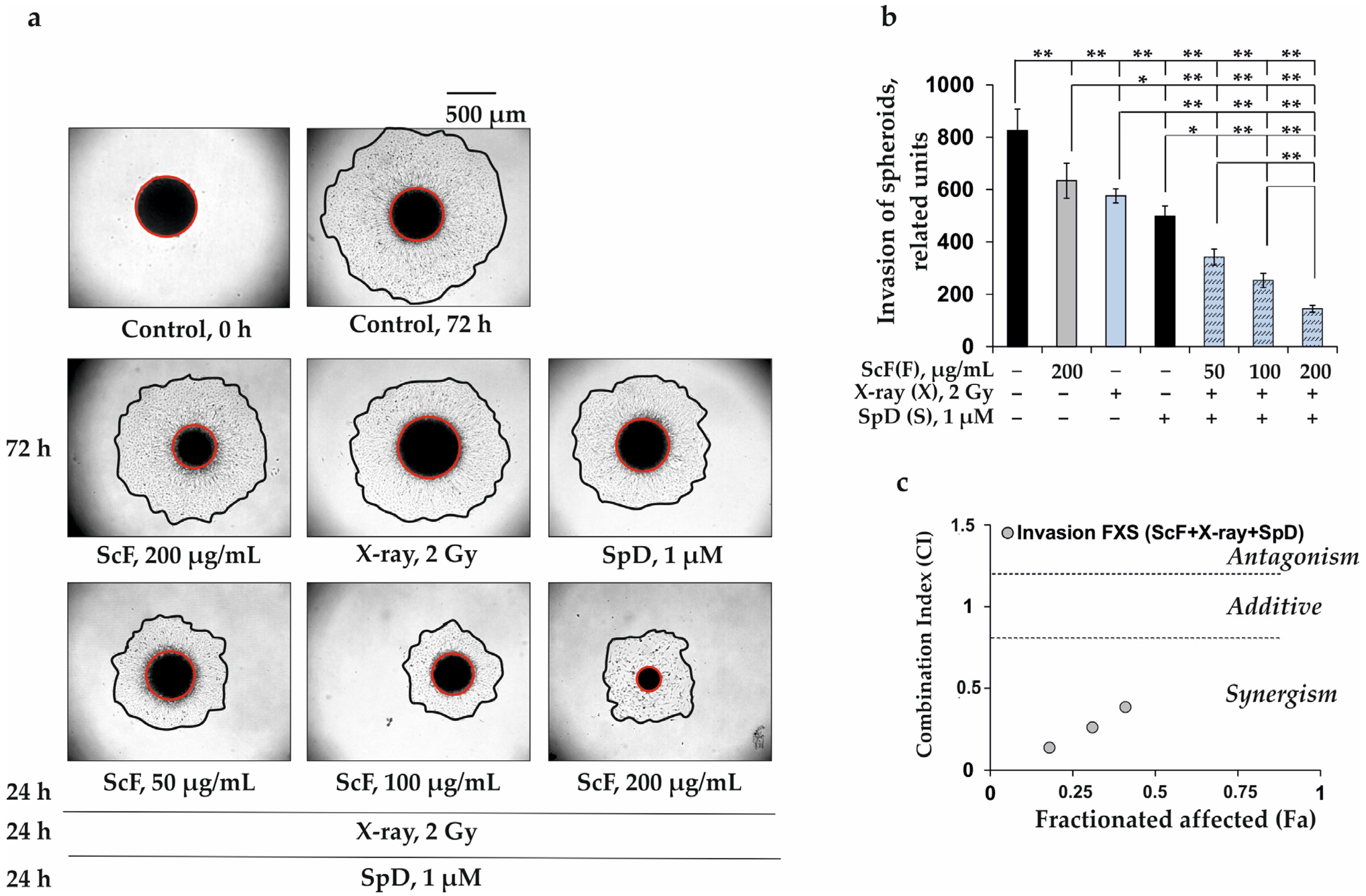 Biomolecules 13 00419 g006