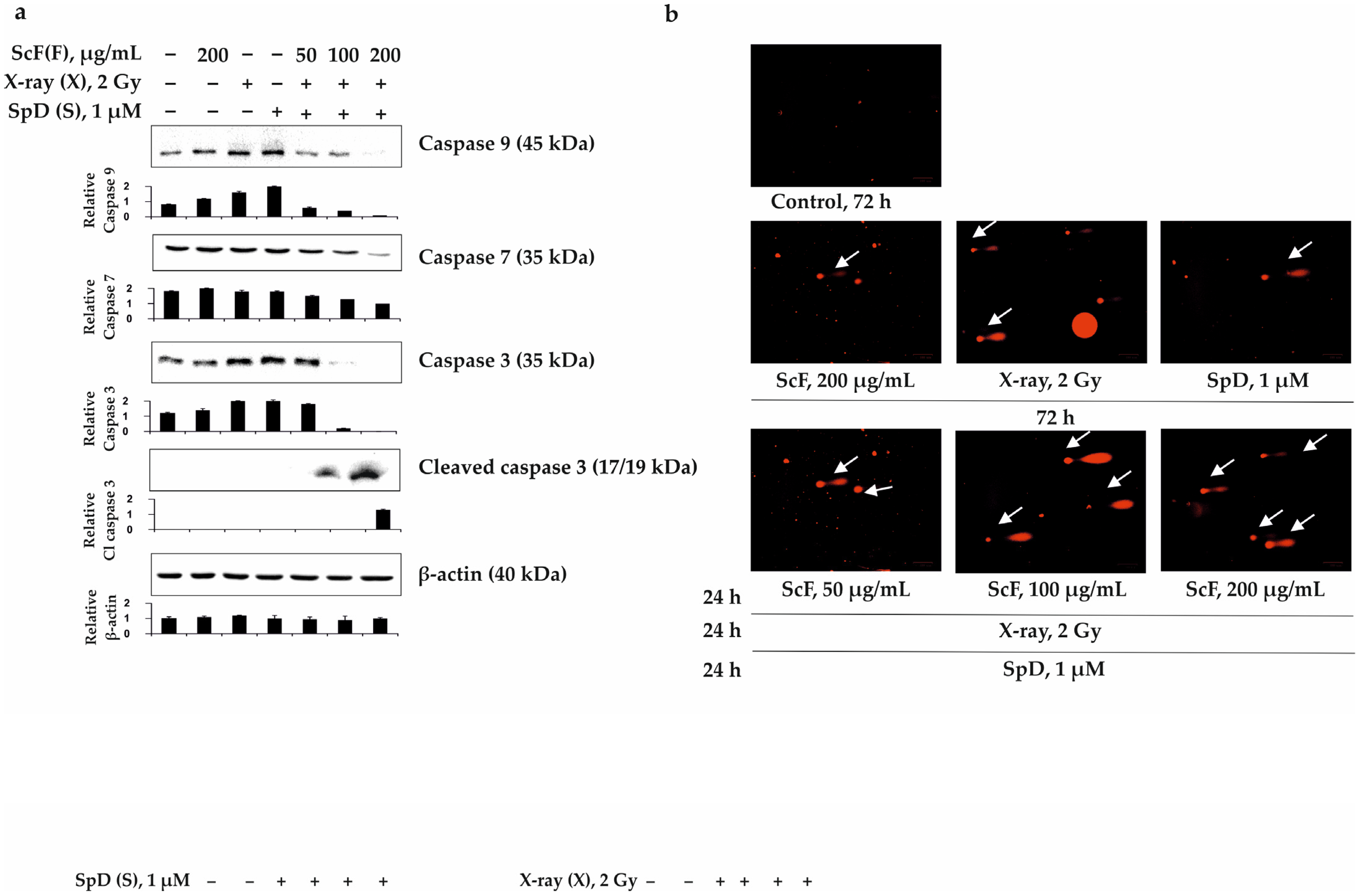 Biomolecules 13 00419 g007