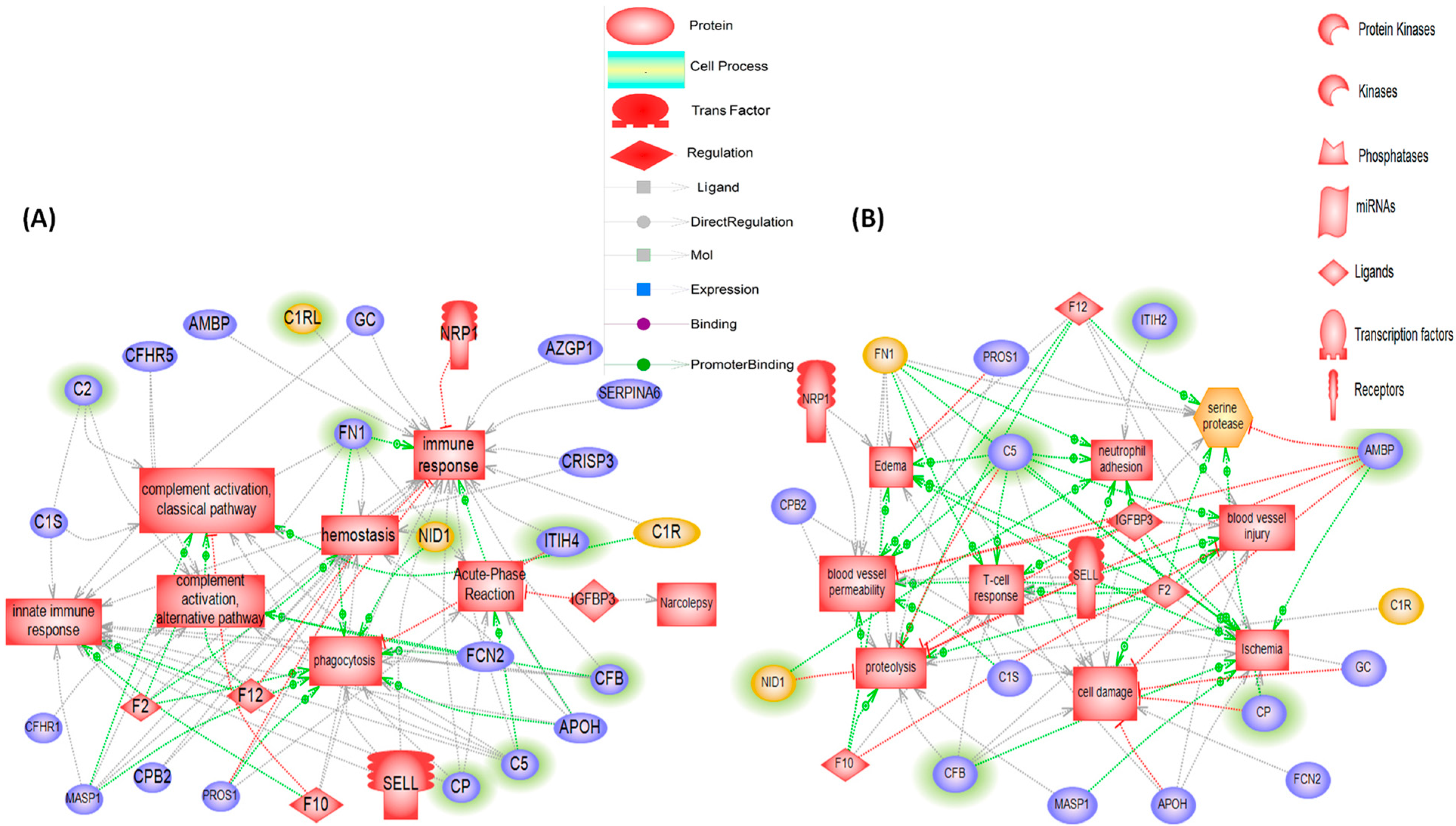 Biomolecules 13 00420 g004