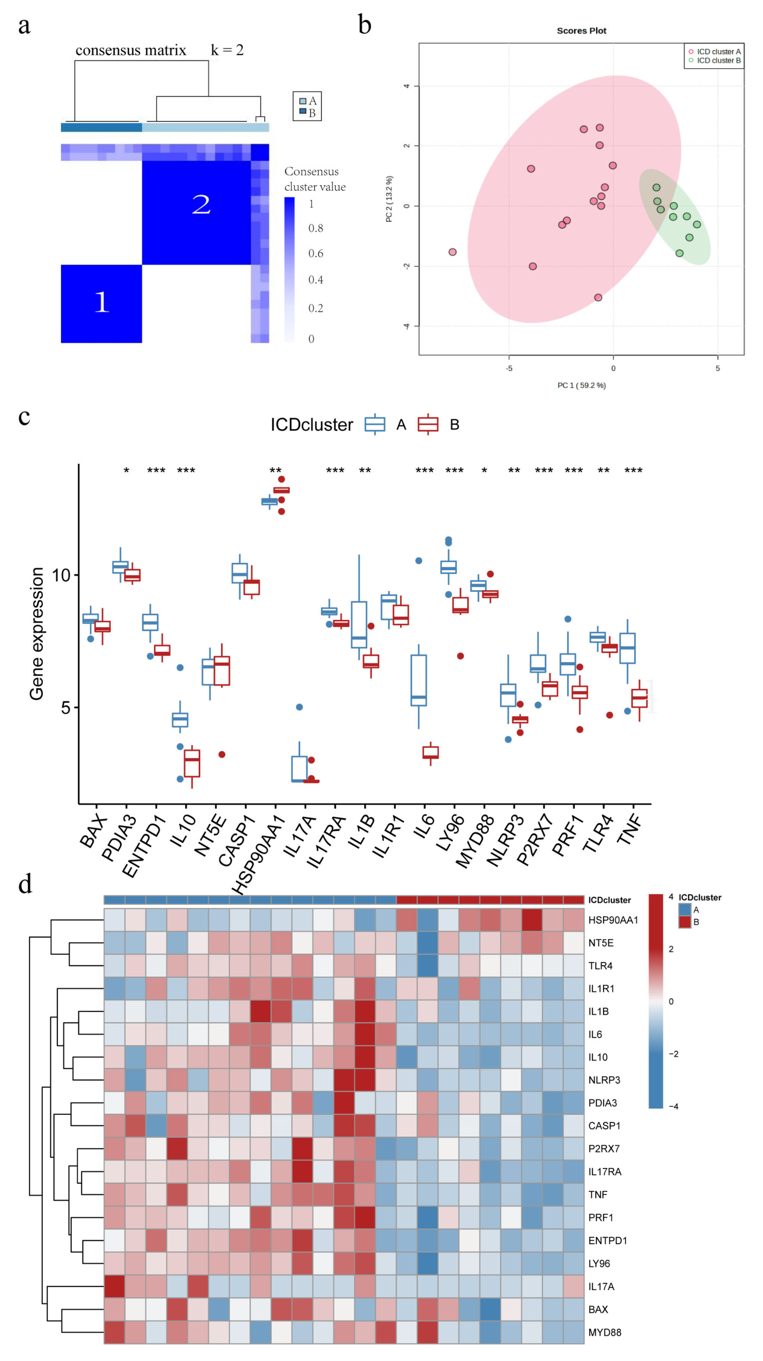 Biomolecules 13 00421 g004