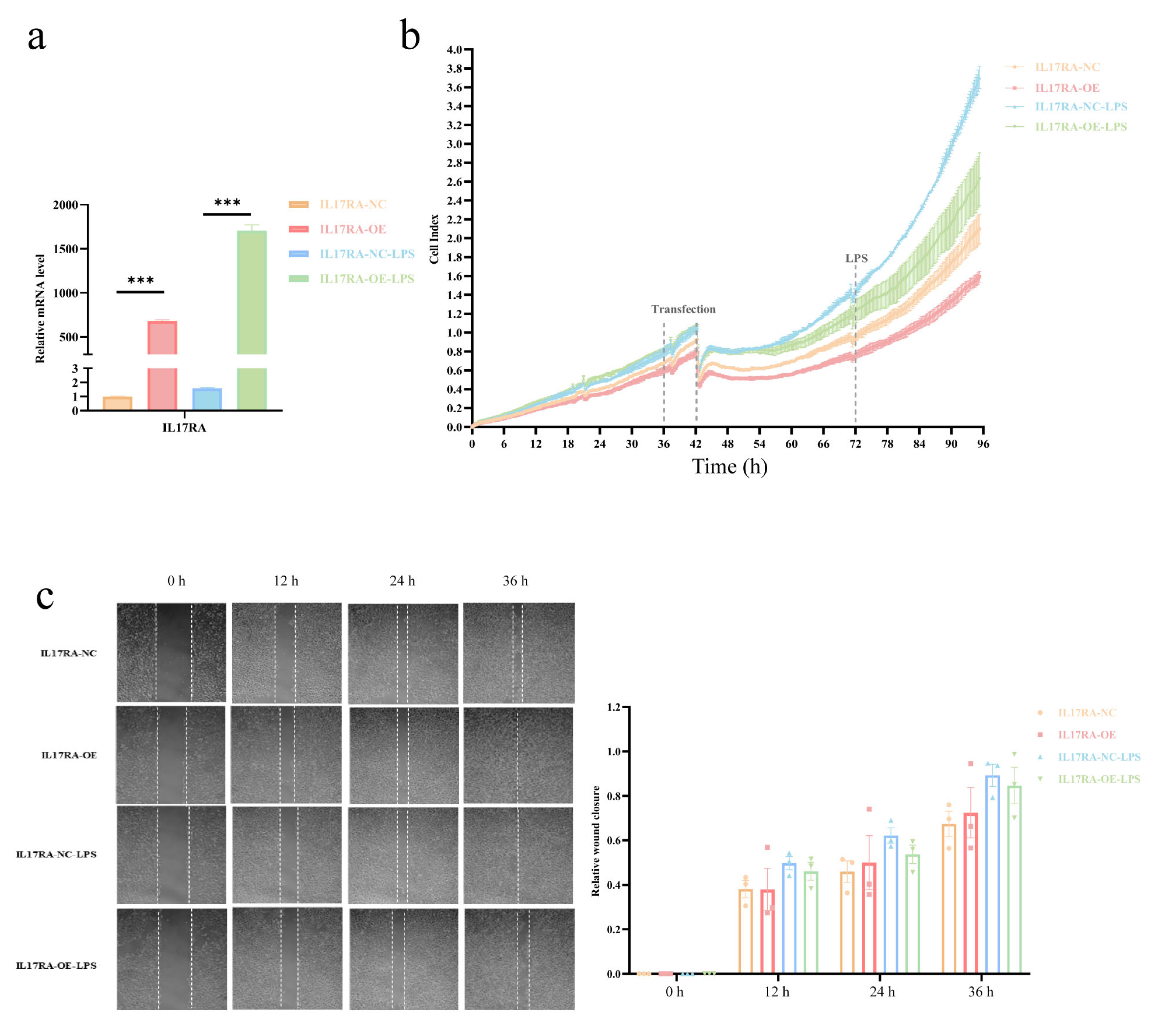 Biomolecules 13 00421 g011