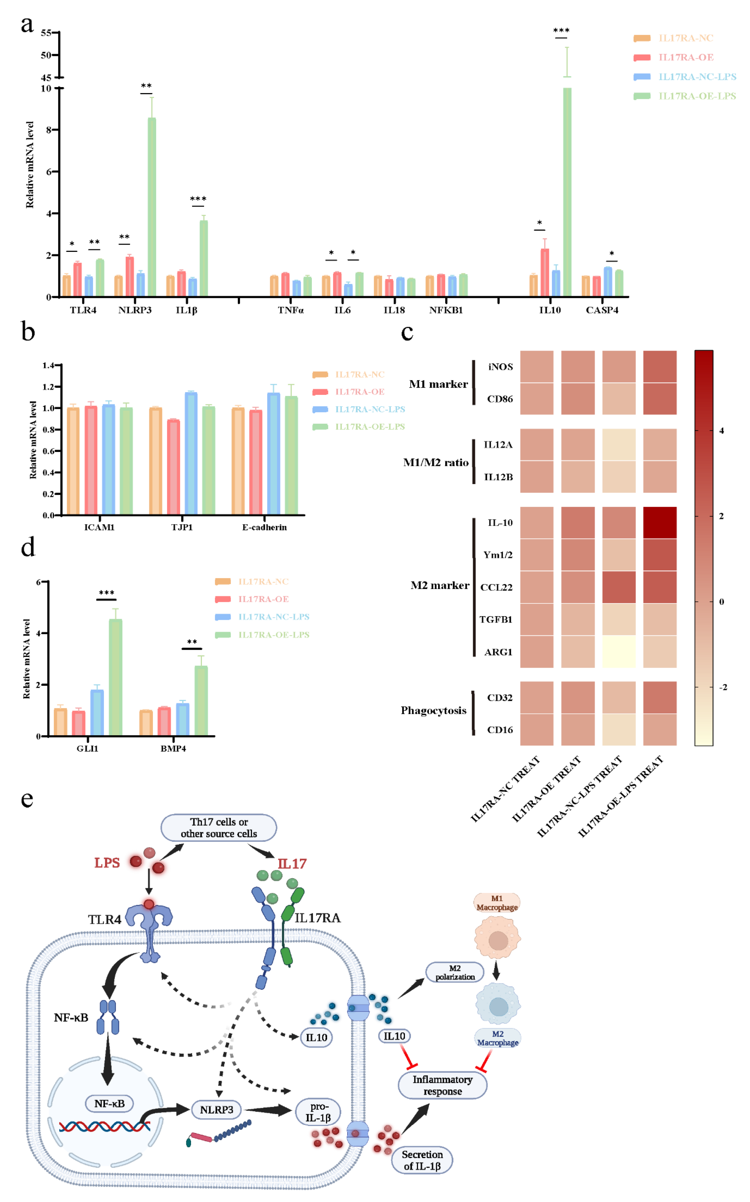 Biomolecules 13 00421 g012