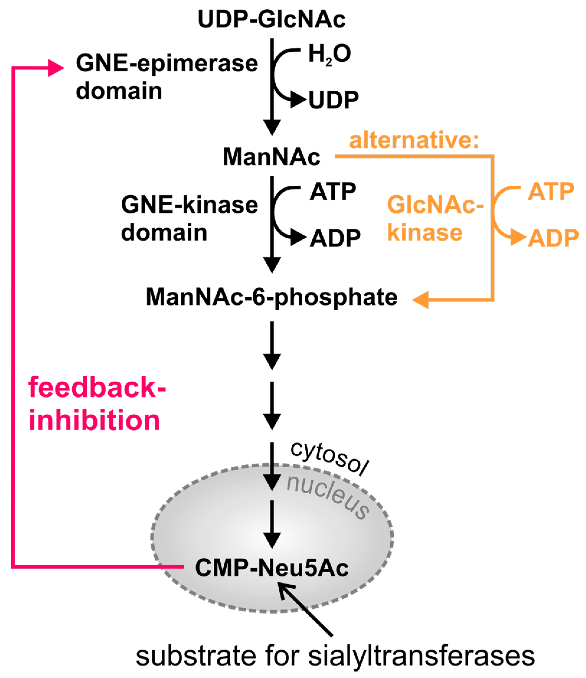 Biomolecules 13 00422 g001