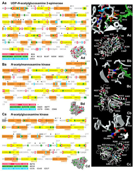 Biomolecules 13 00422 g002