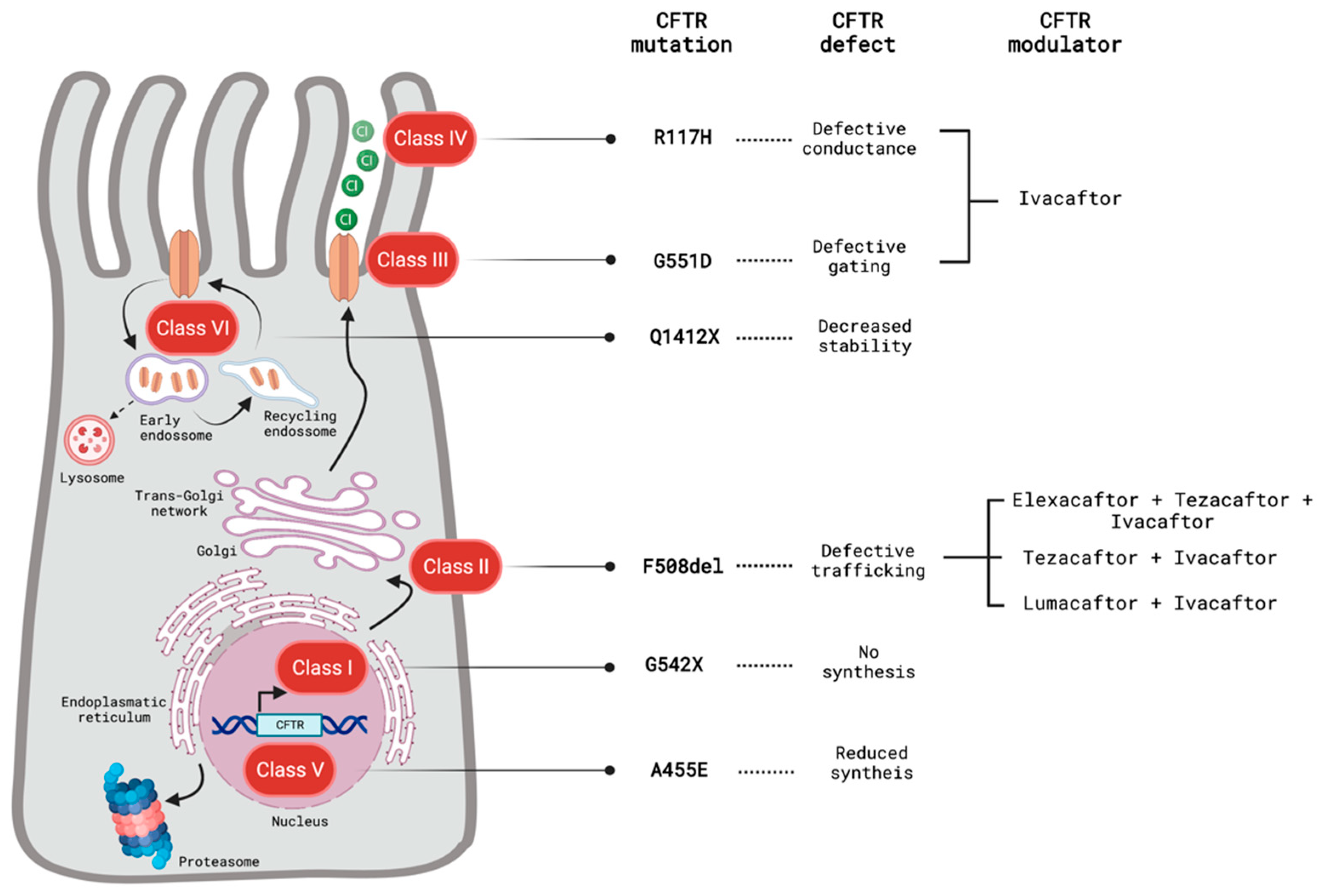 Biomolecules 13 00425 g001
