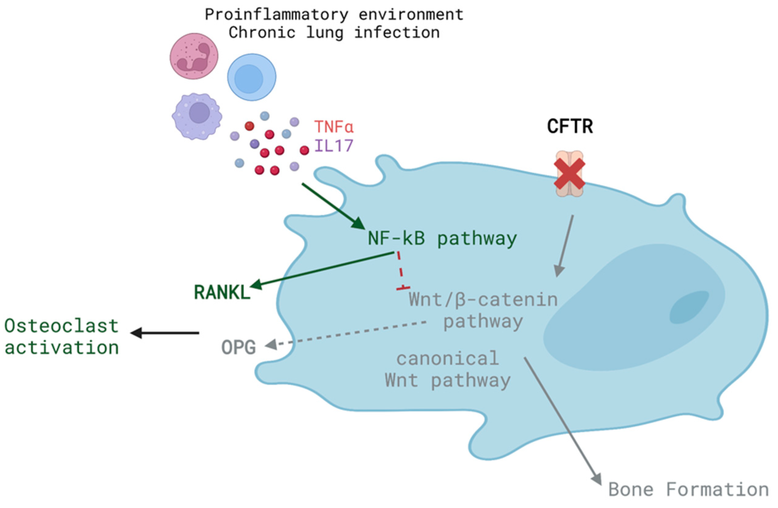 Biomolecules 13 00425 g003