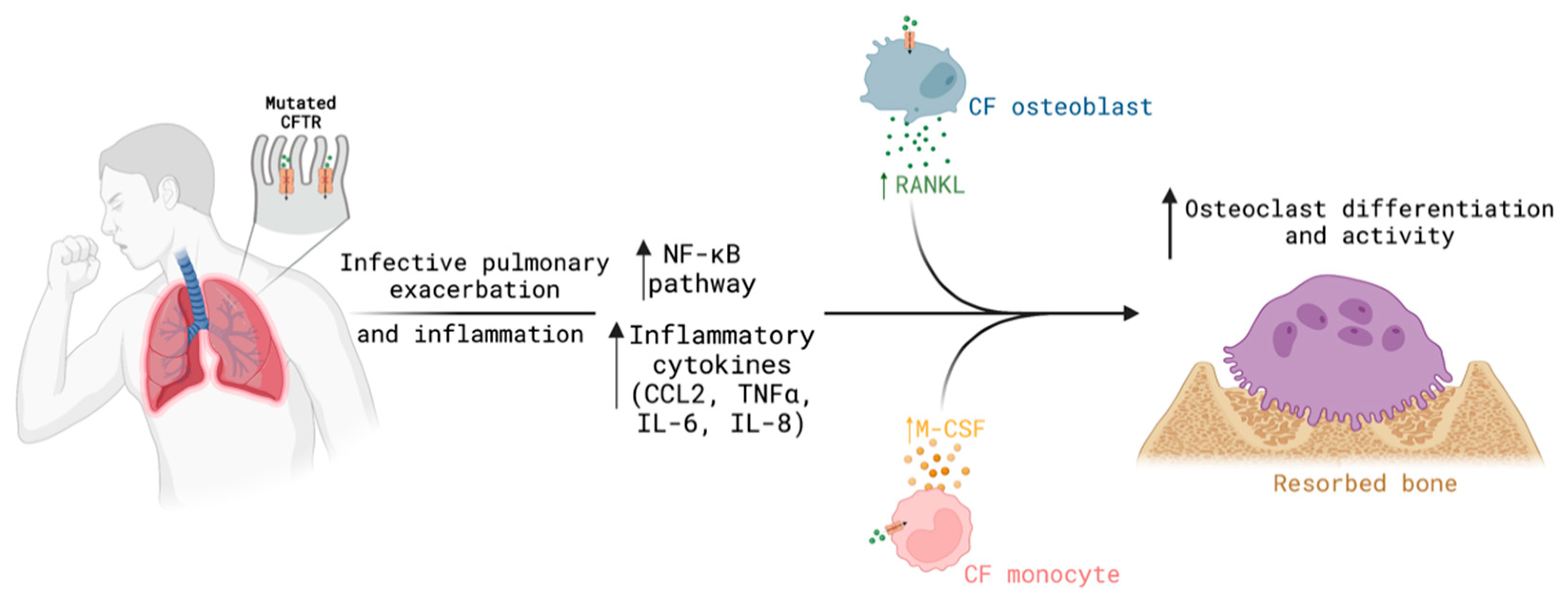 Biomolecules 13 00425 g004