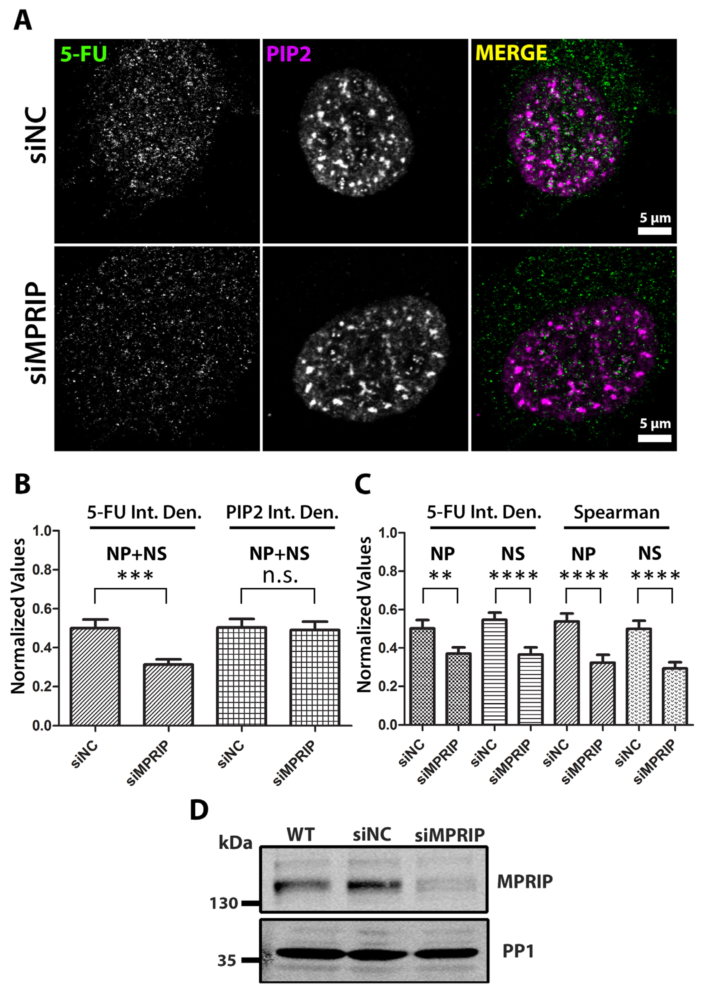 Biomolecules 13 00426 g002