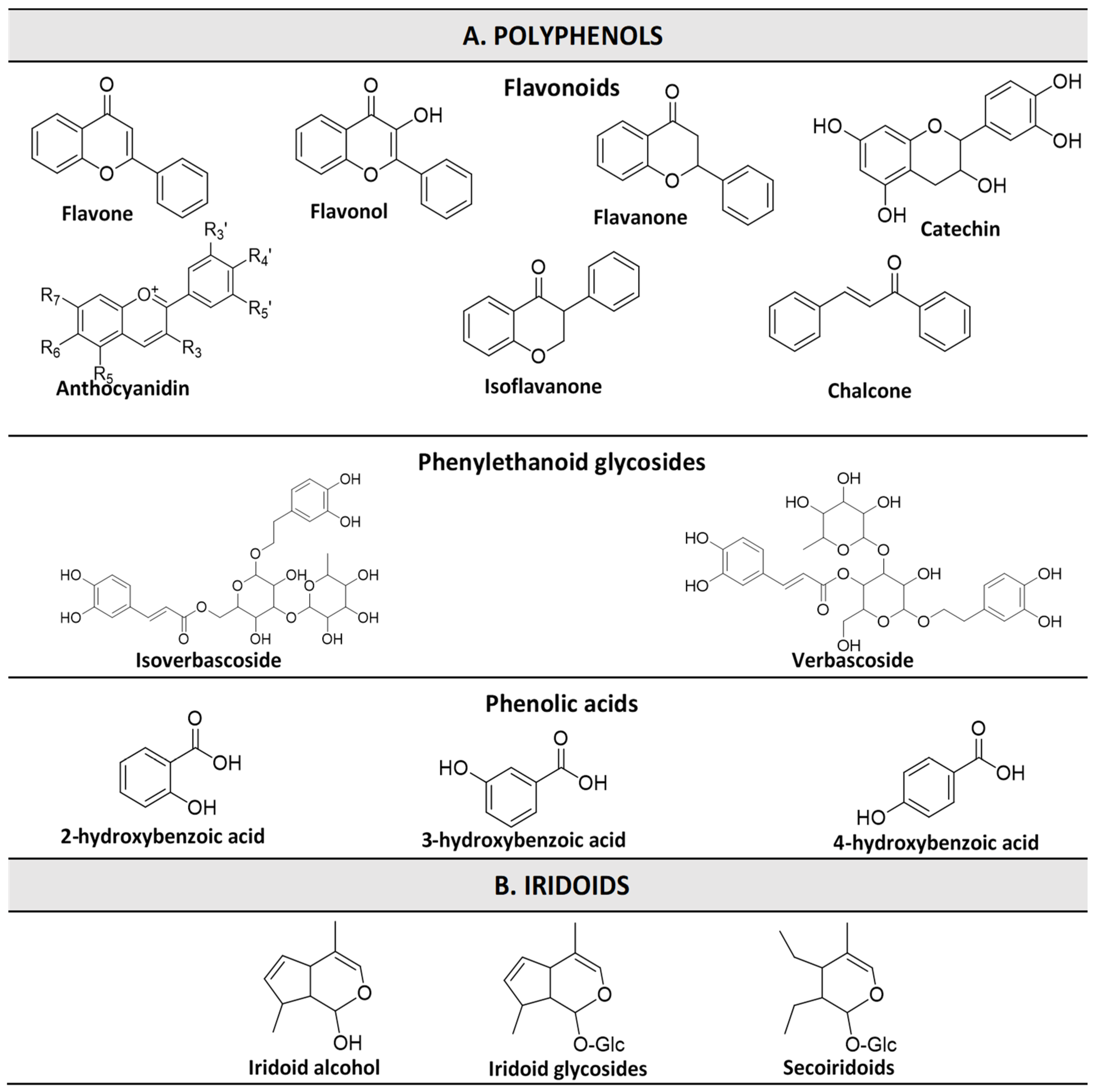 Biomolecules 13 00427 g002 Biomolecules 13 00427 g002
