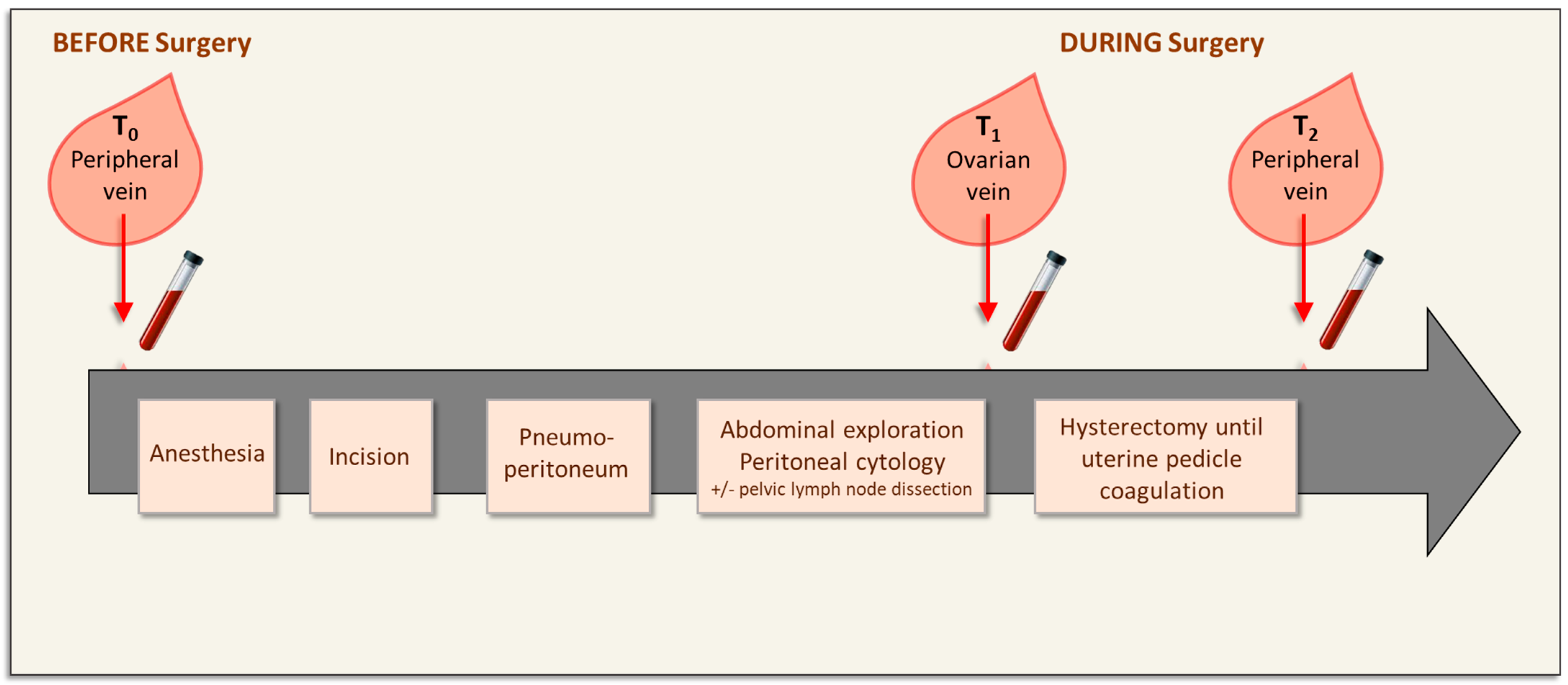 Biomolecules 13 00428 g001