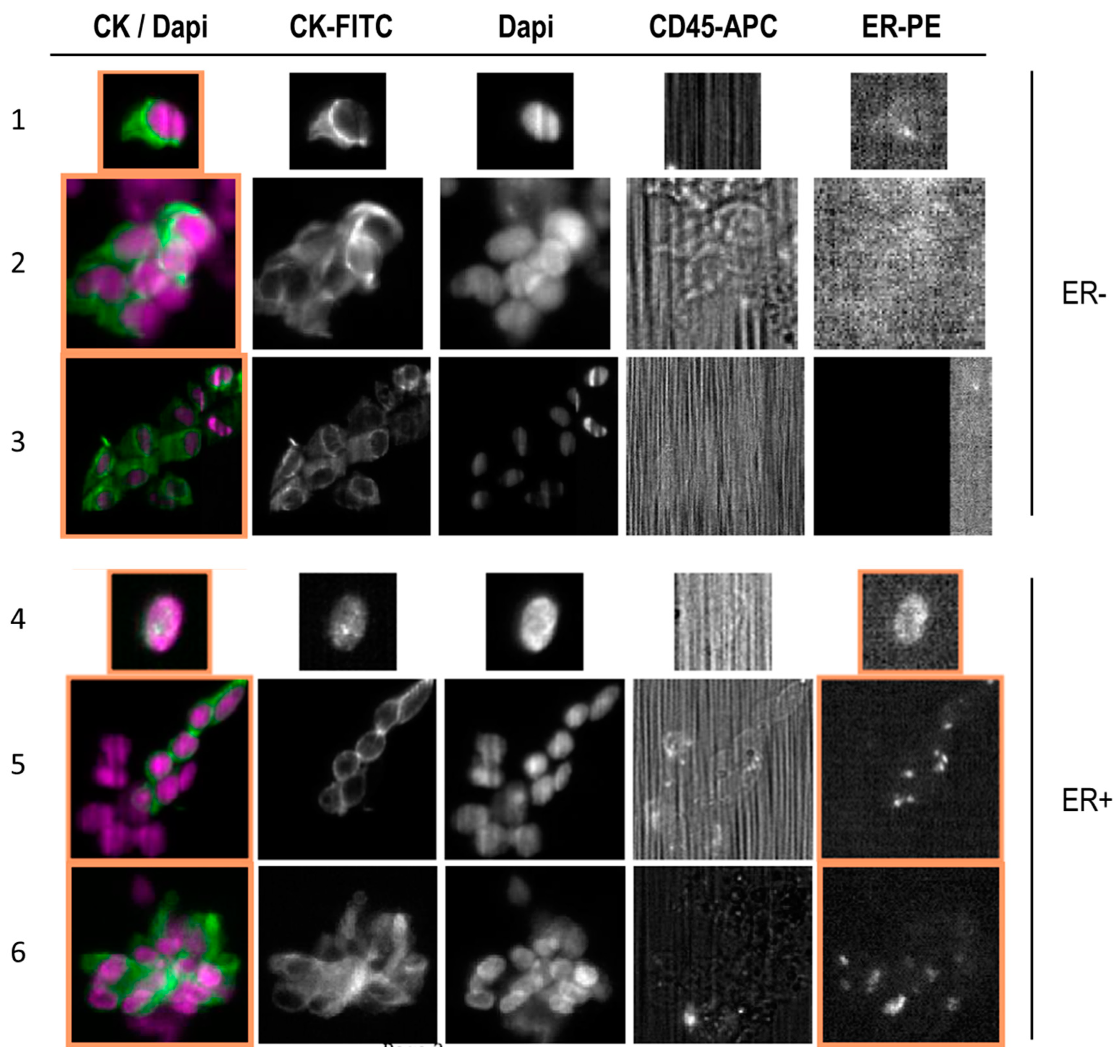 Biomolecules 13 00428 g003