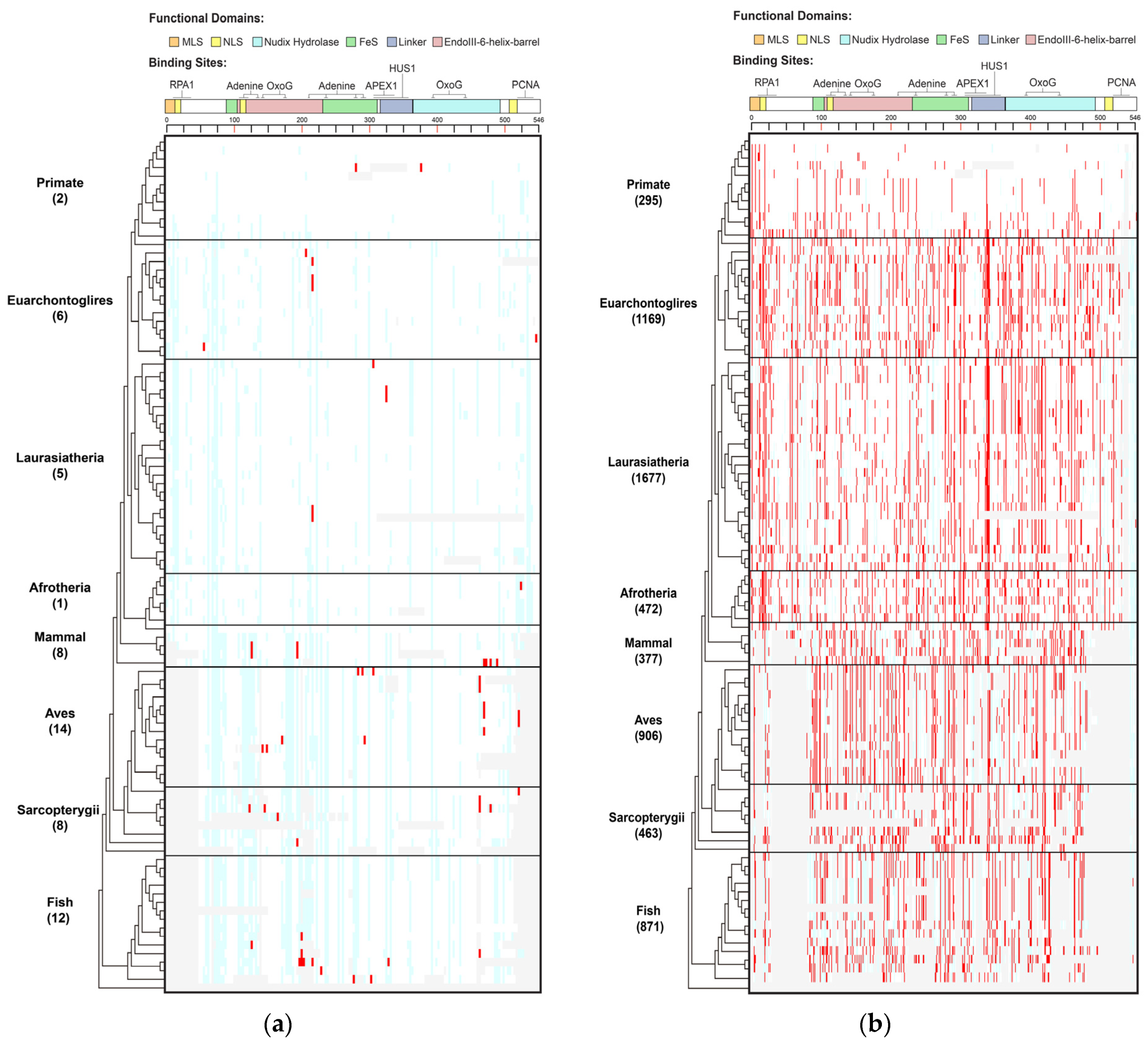 Biomolecules 13 00429 g001