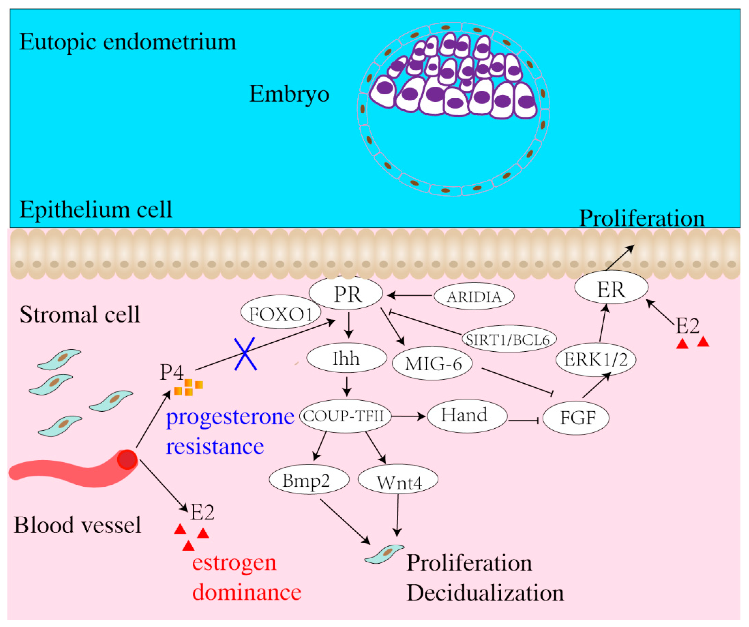 Biomolecules 13 00430 g001
