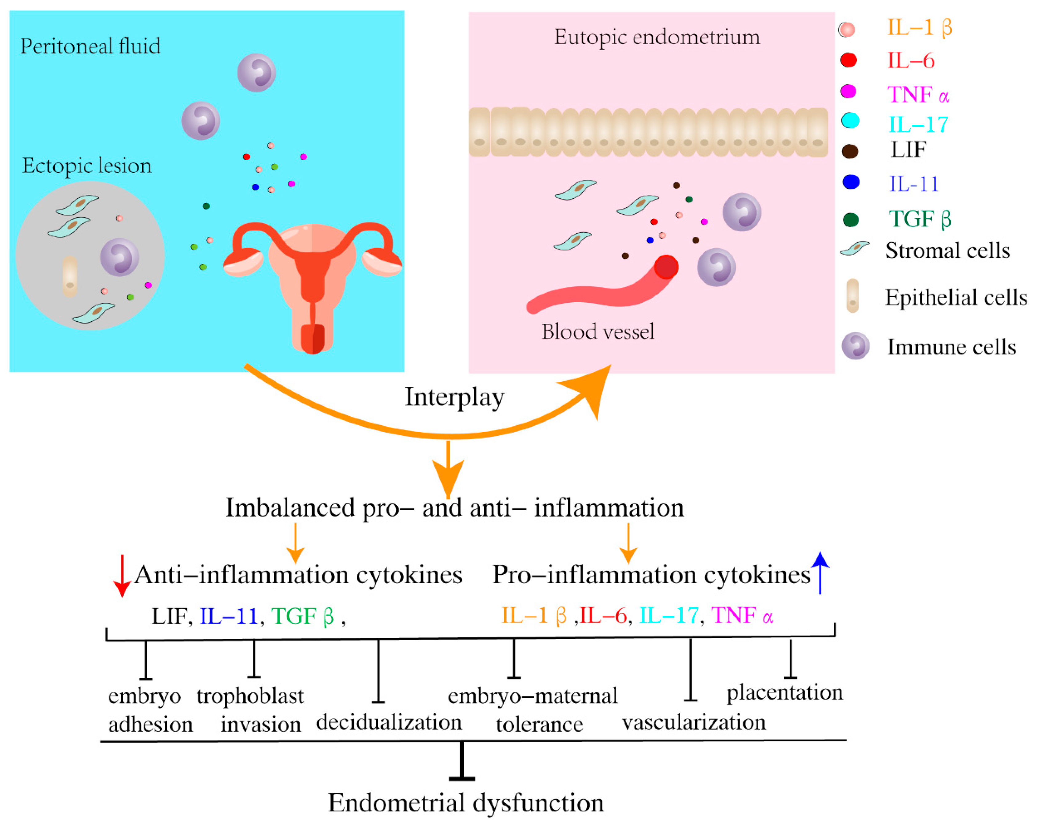 Biomolecules 13 00430 g002
