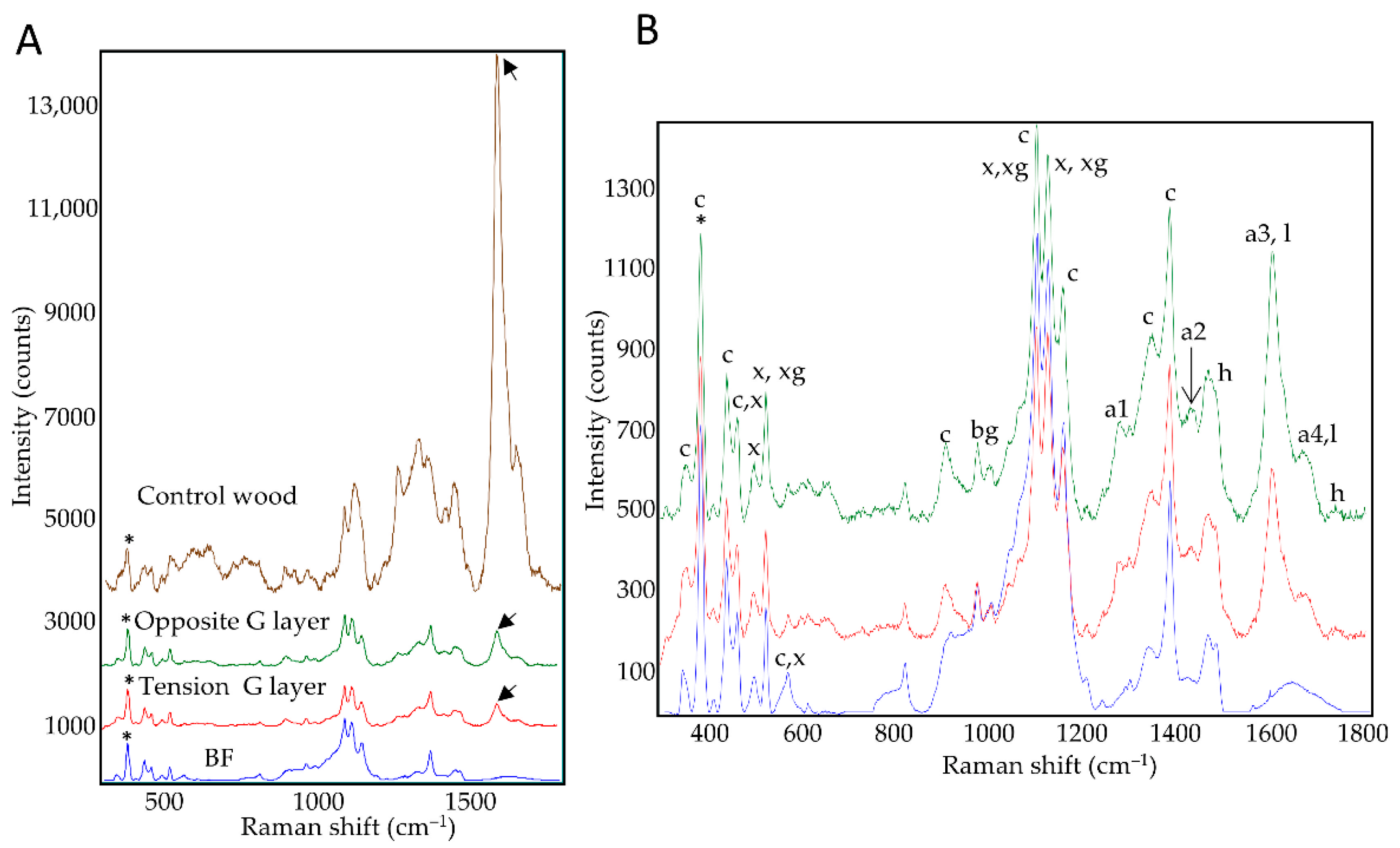 Biomolecules 13 00435 g002 Biomolecules 13 00435 g002
