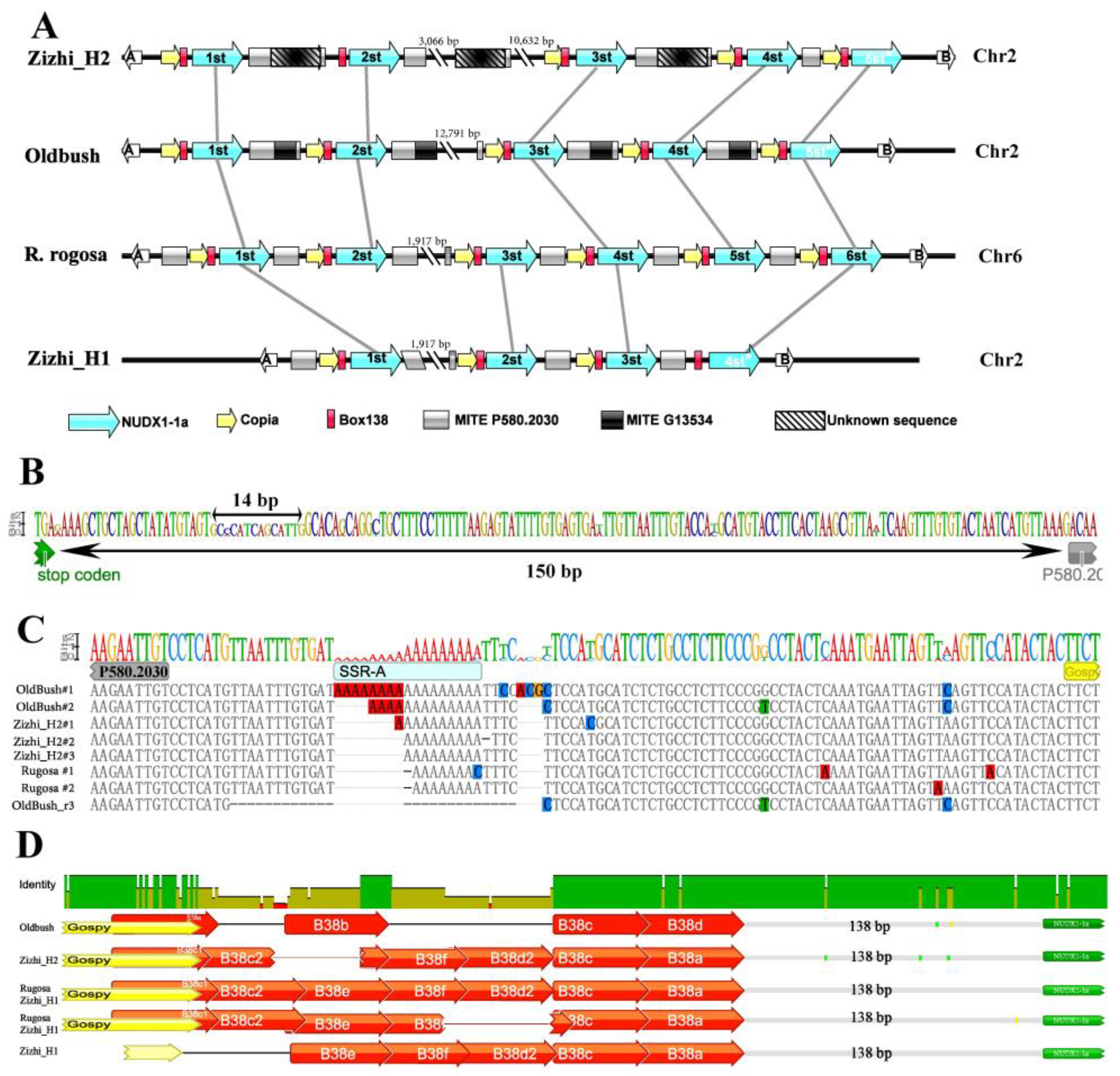 Biomolecules 13 00439 g002