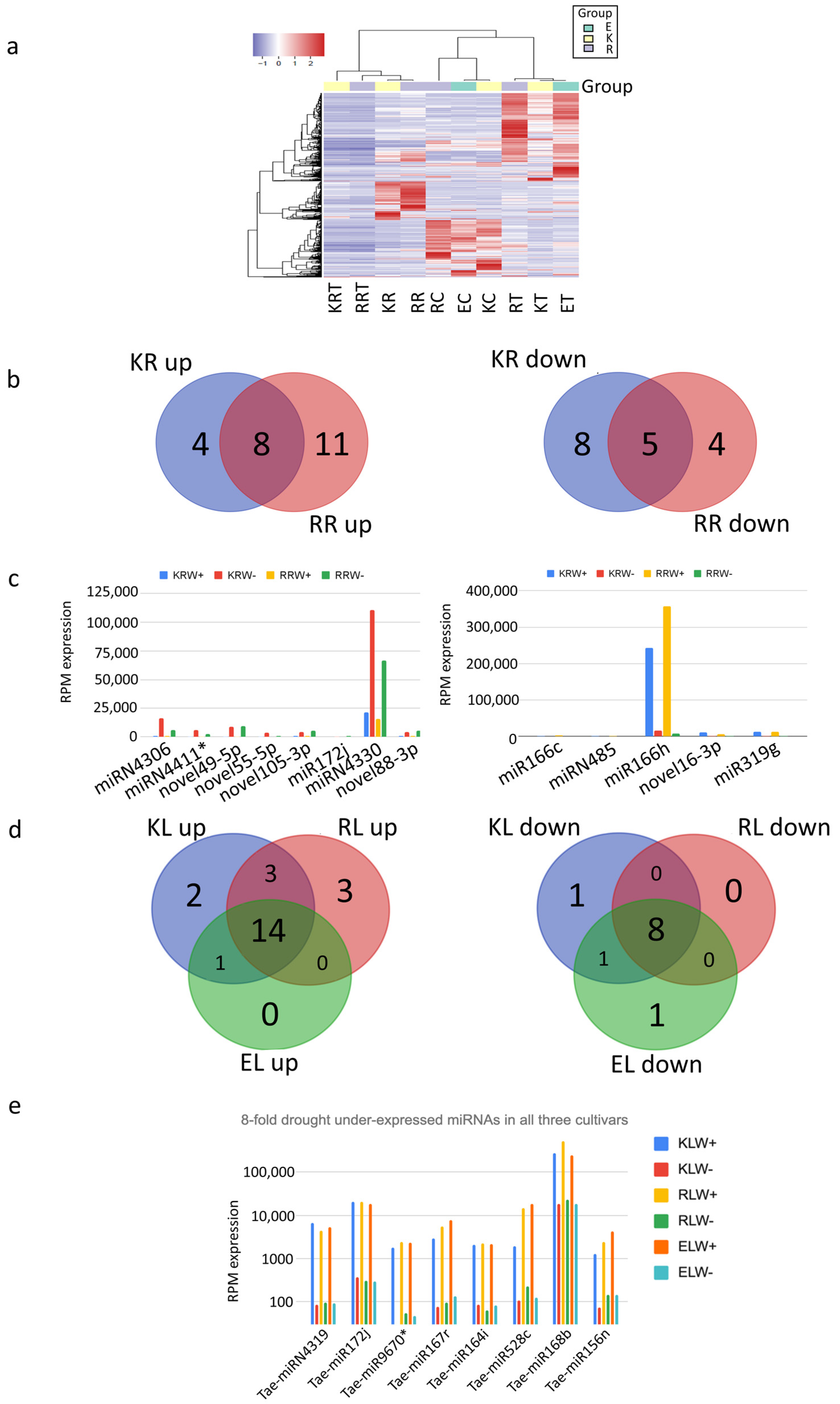 Biomolecules 13 00440 g004