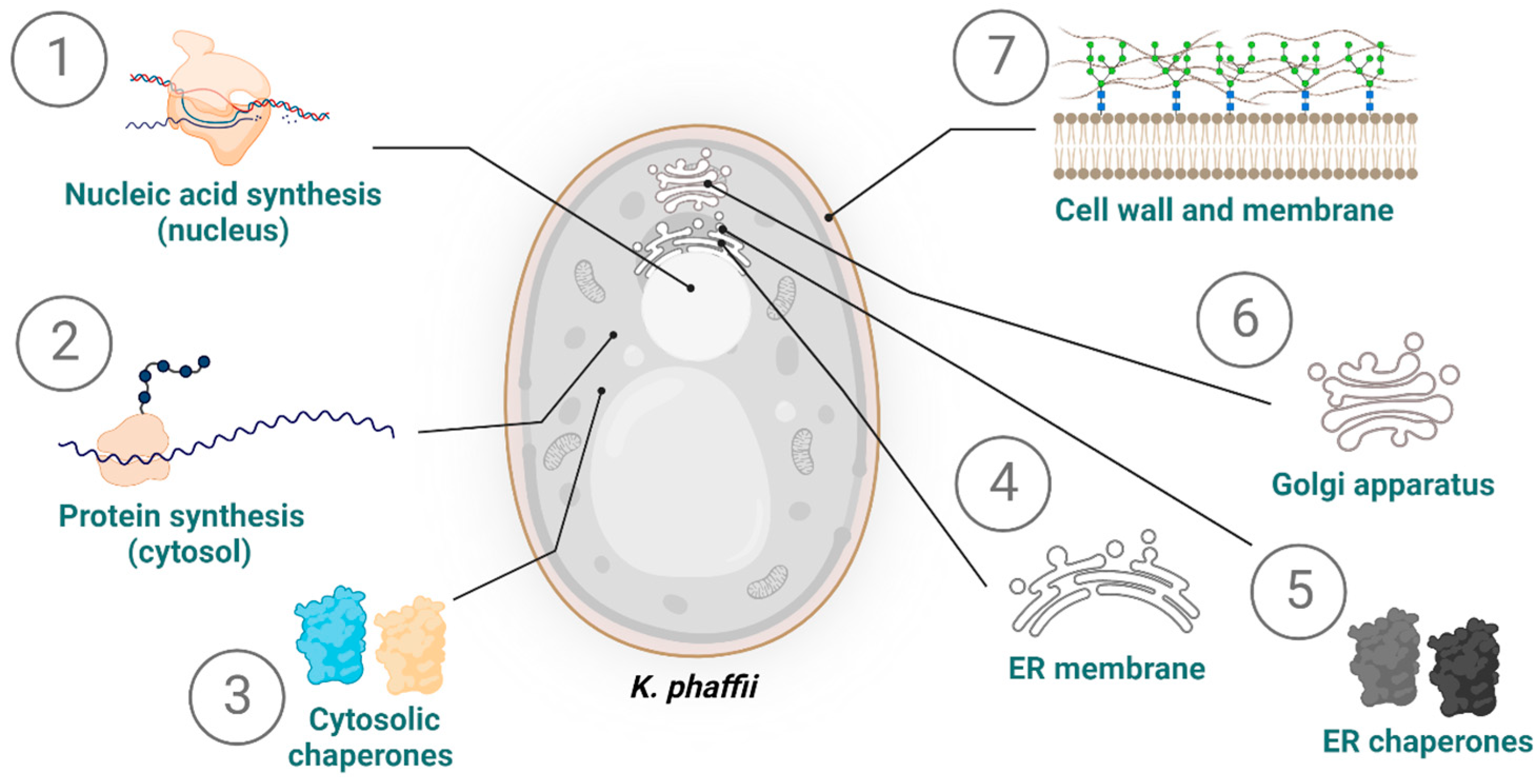 Biomolecules 13 00441 g003