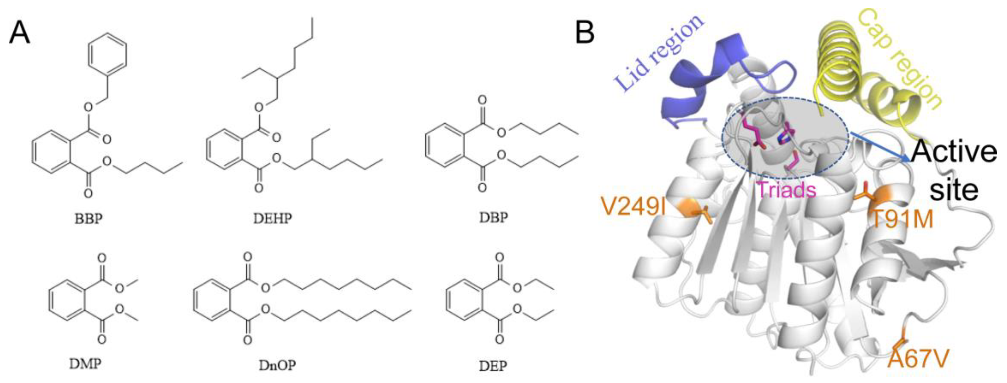 Biomolecules 13 00443 g001