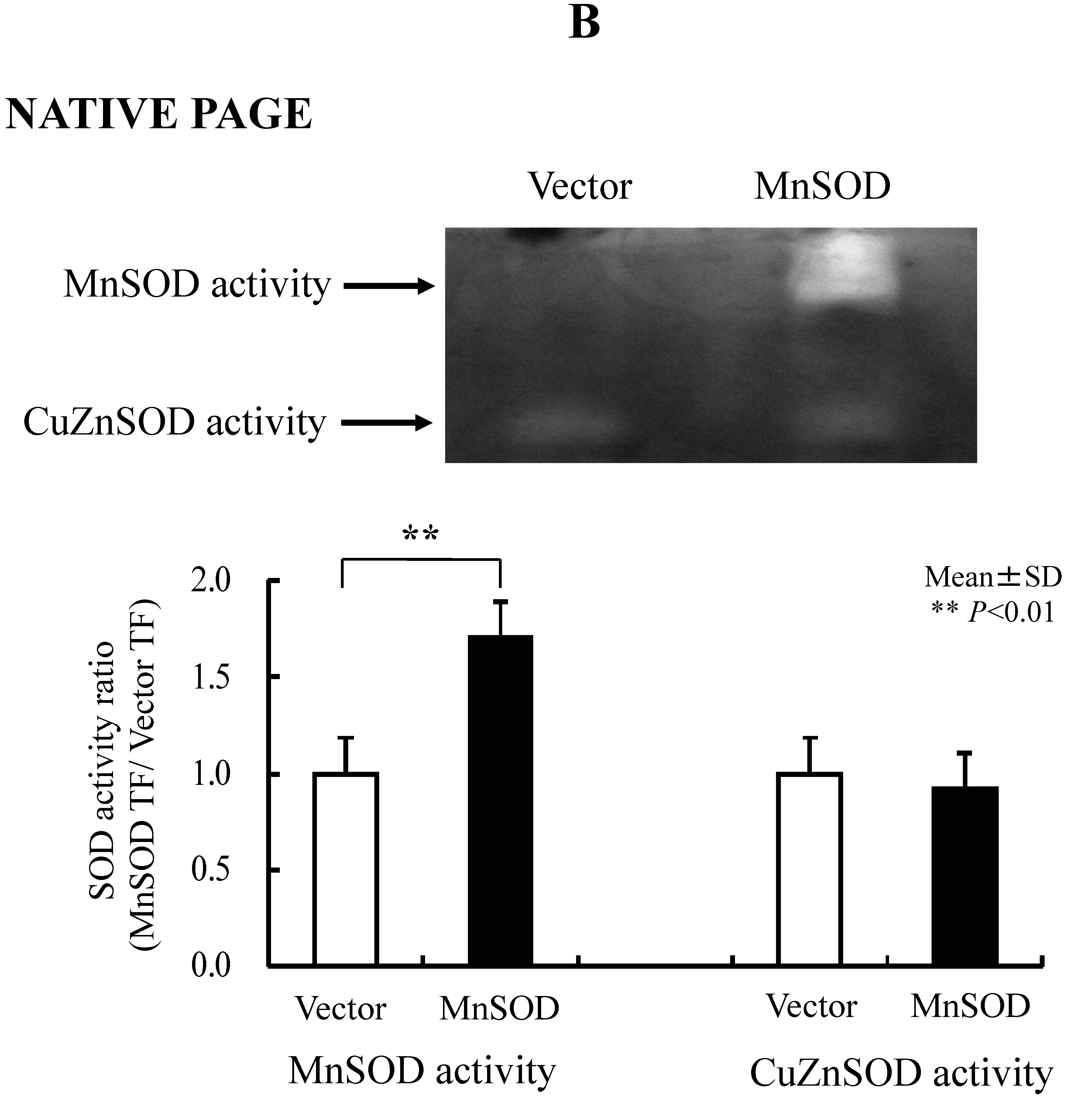 Biomolecules 13 00445 g005b
