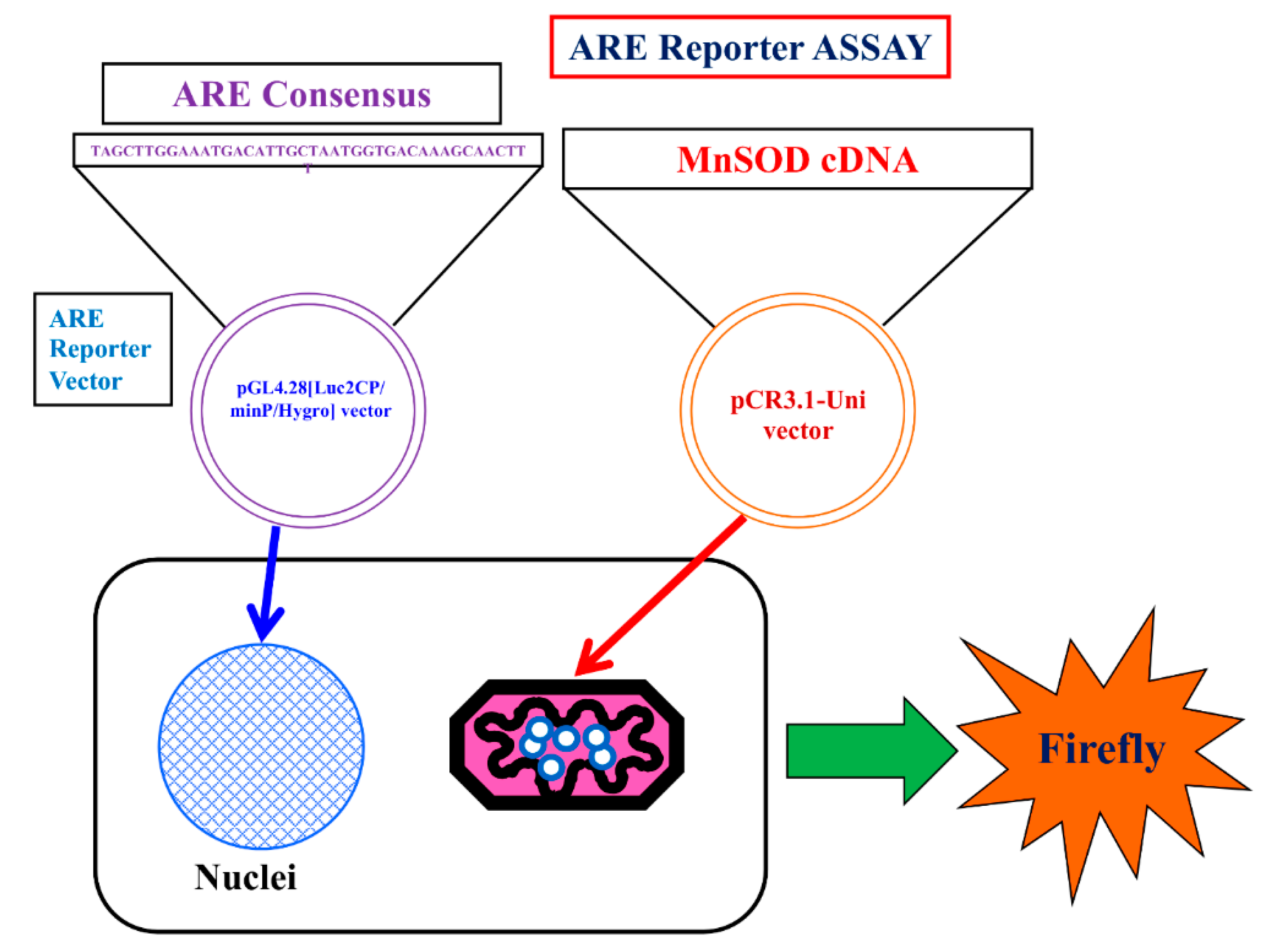 Biomolecules 13 00445 g007