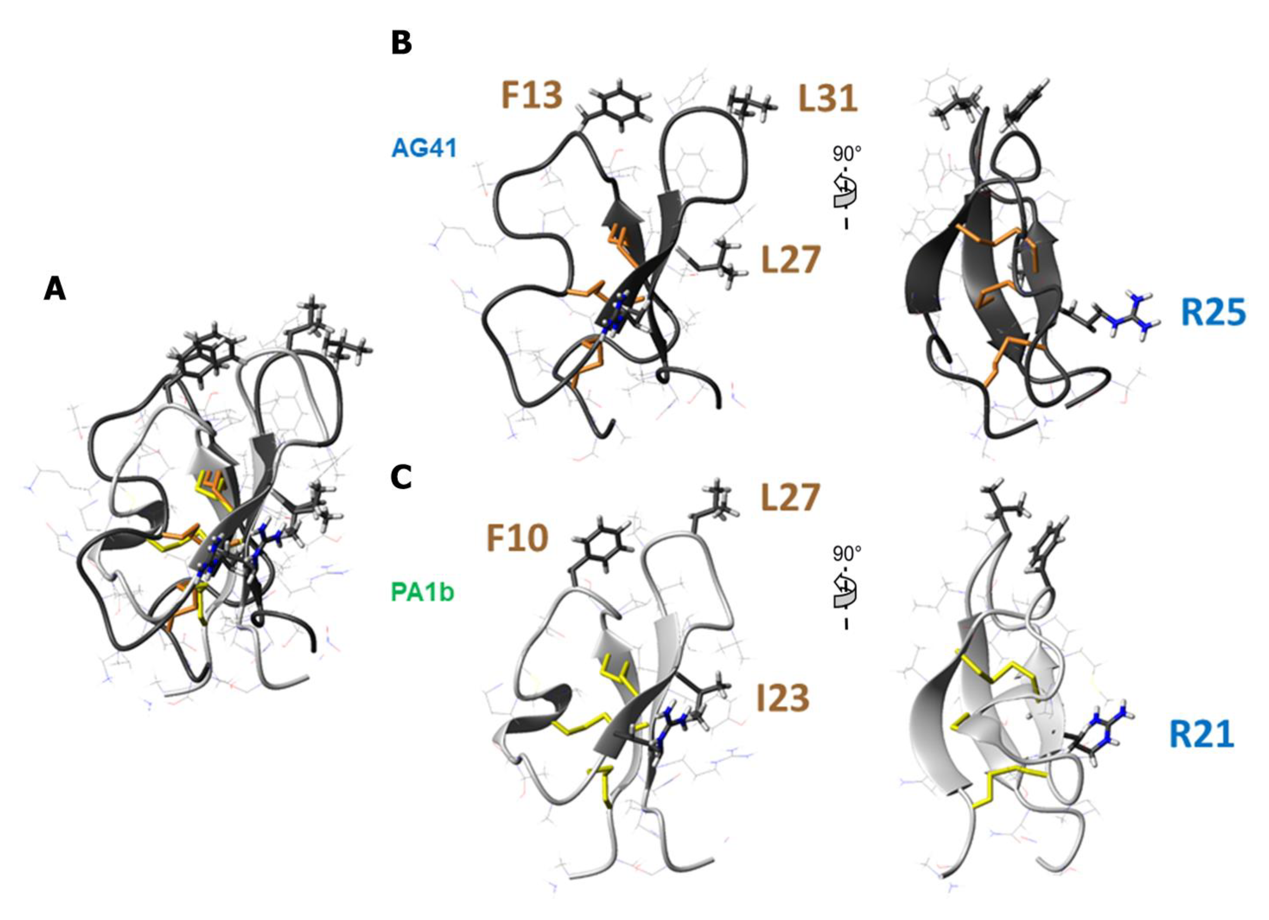 Biomolecules 13 00446 g005 Biomolecules 13 00446 g005