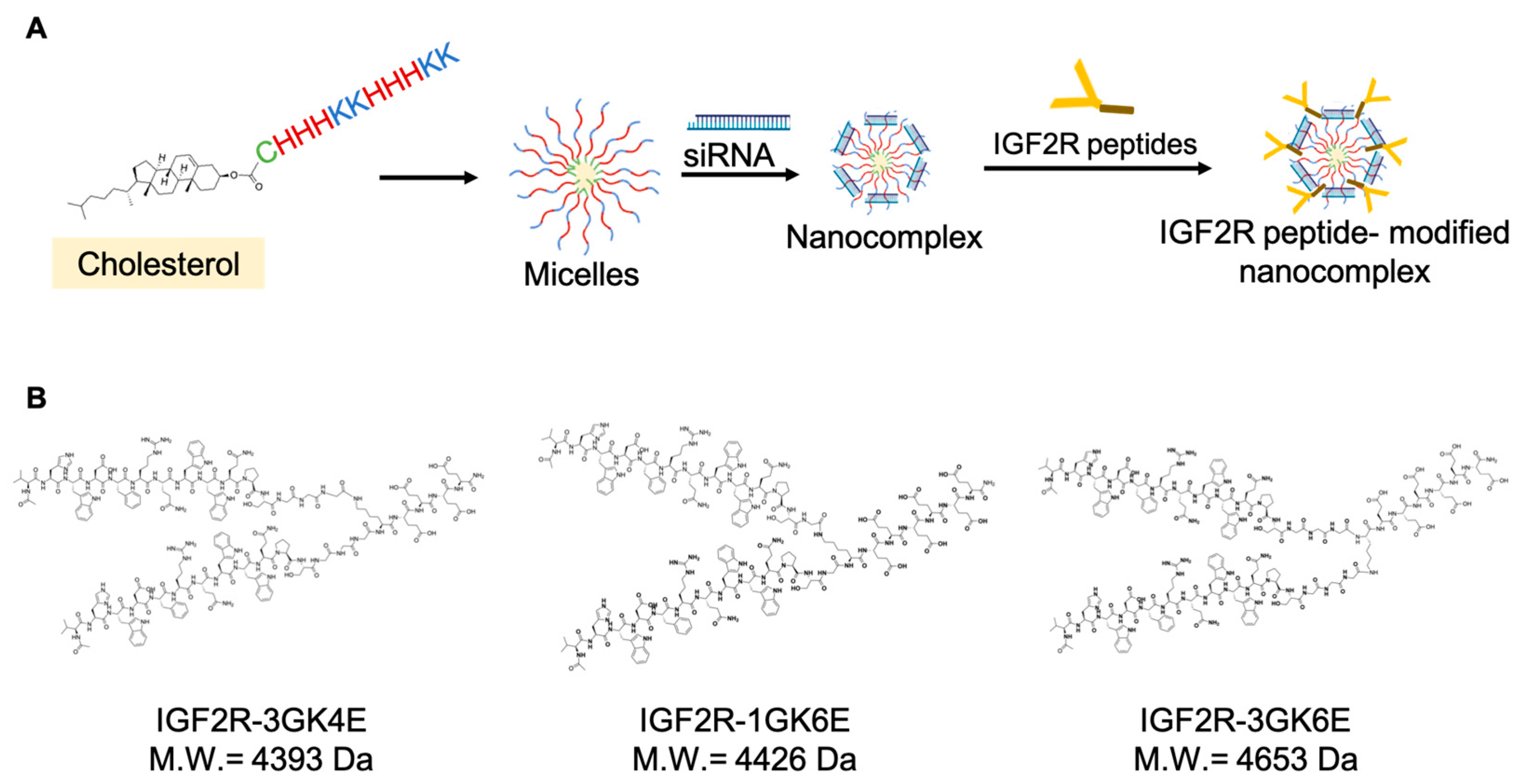 Biomolecules 13 00448 g001