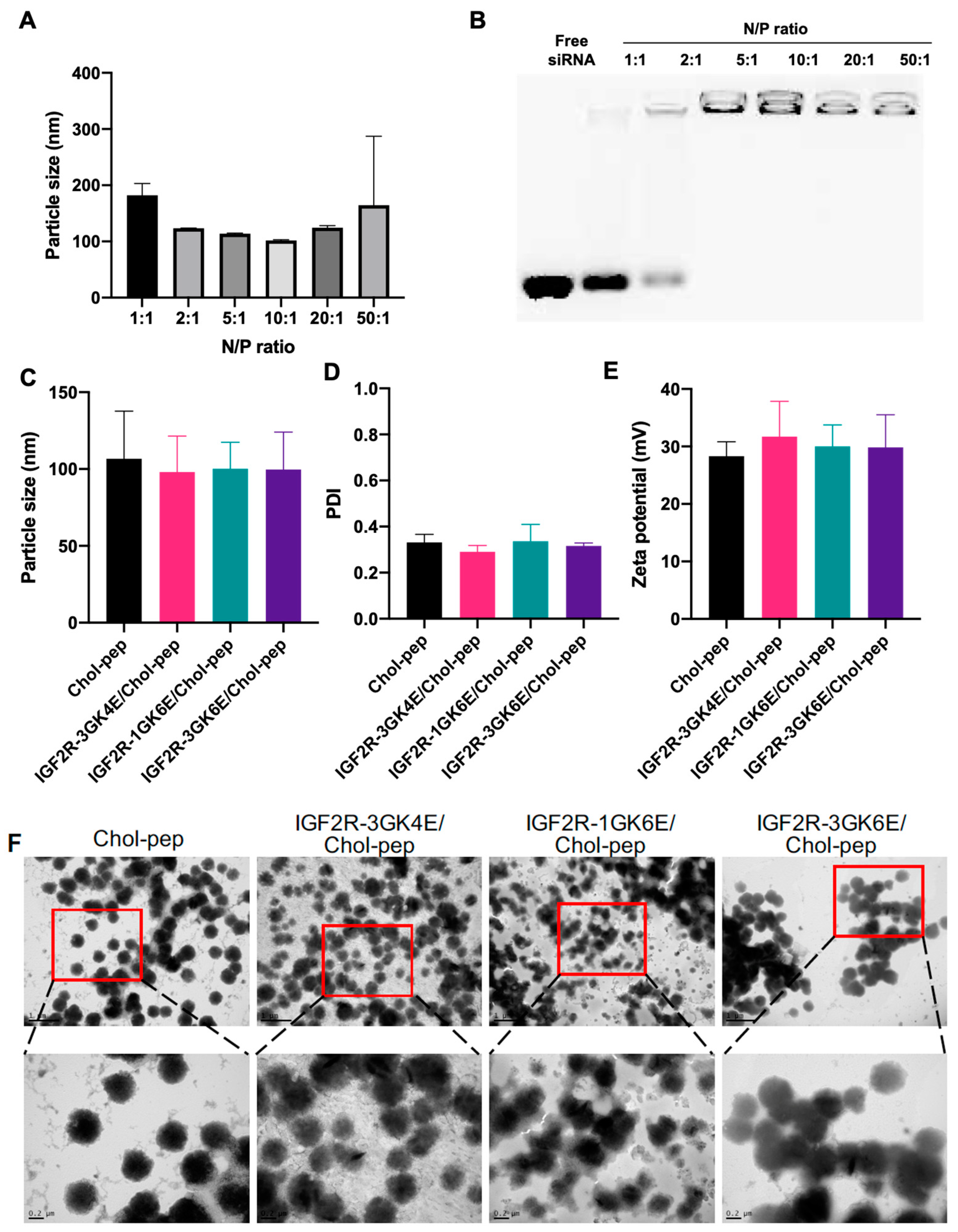 Biomolecules 13 00448 g002