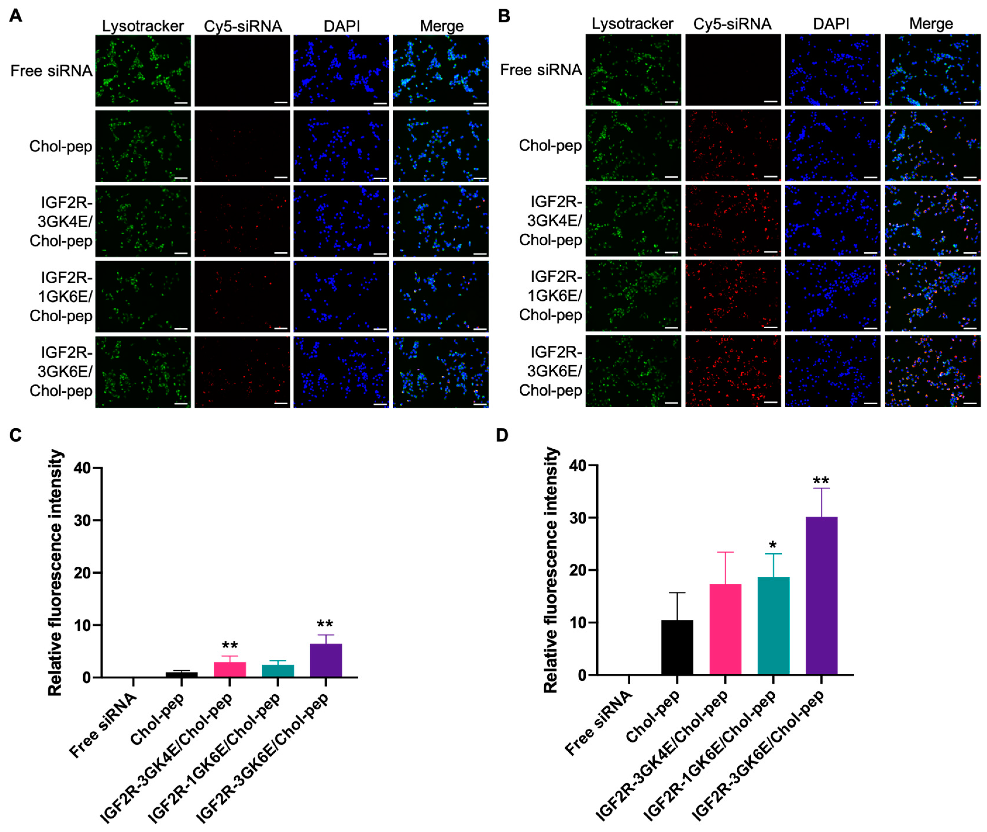 Biomolecules 13 00448 g005