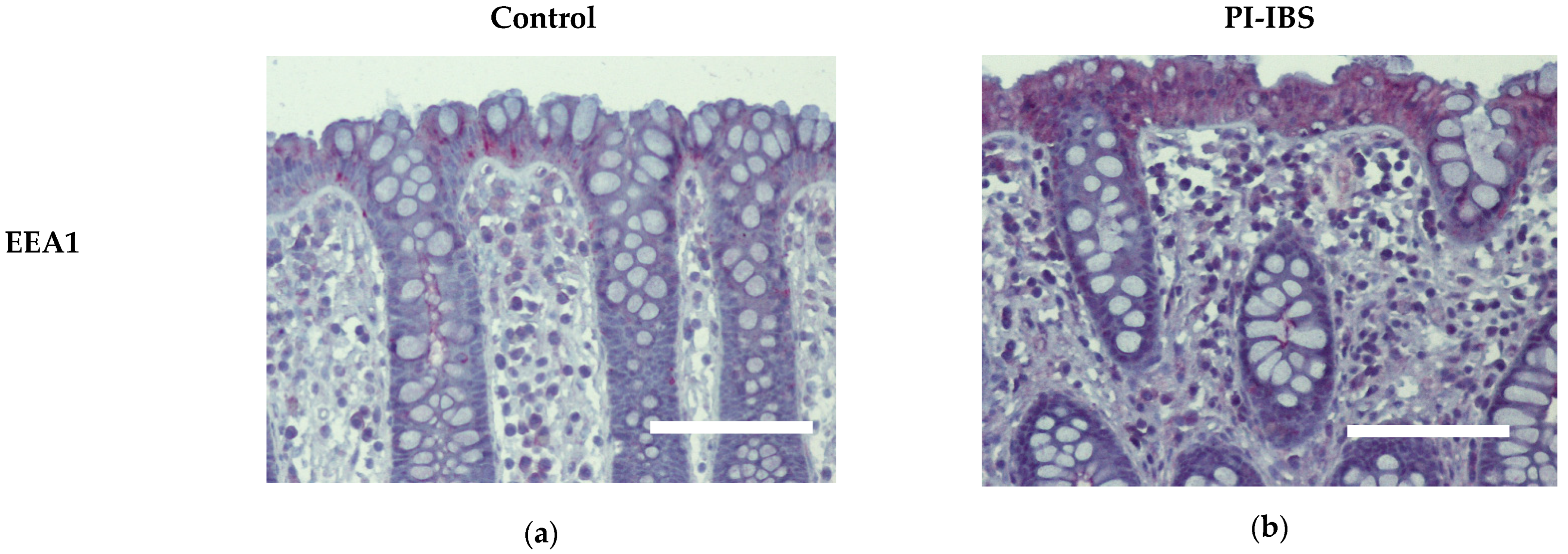 Biomolecules 13 00449 g005