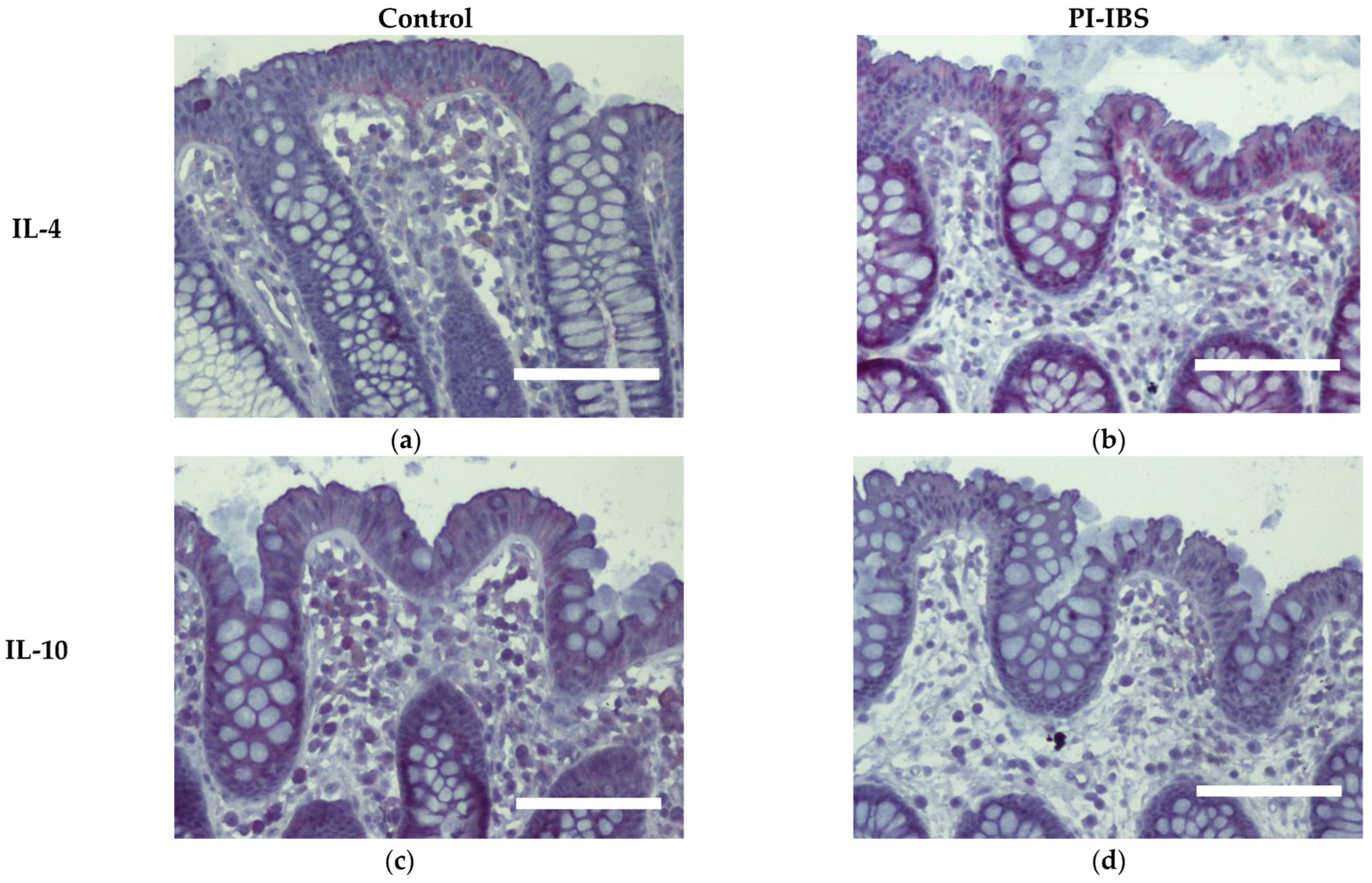 Biomolecules 13 00449 g006