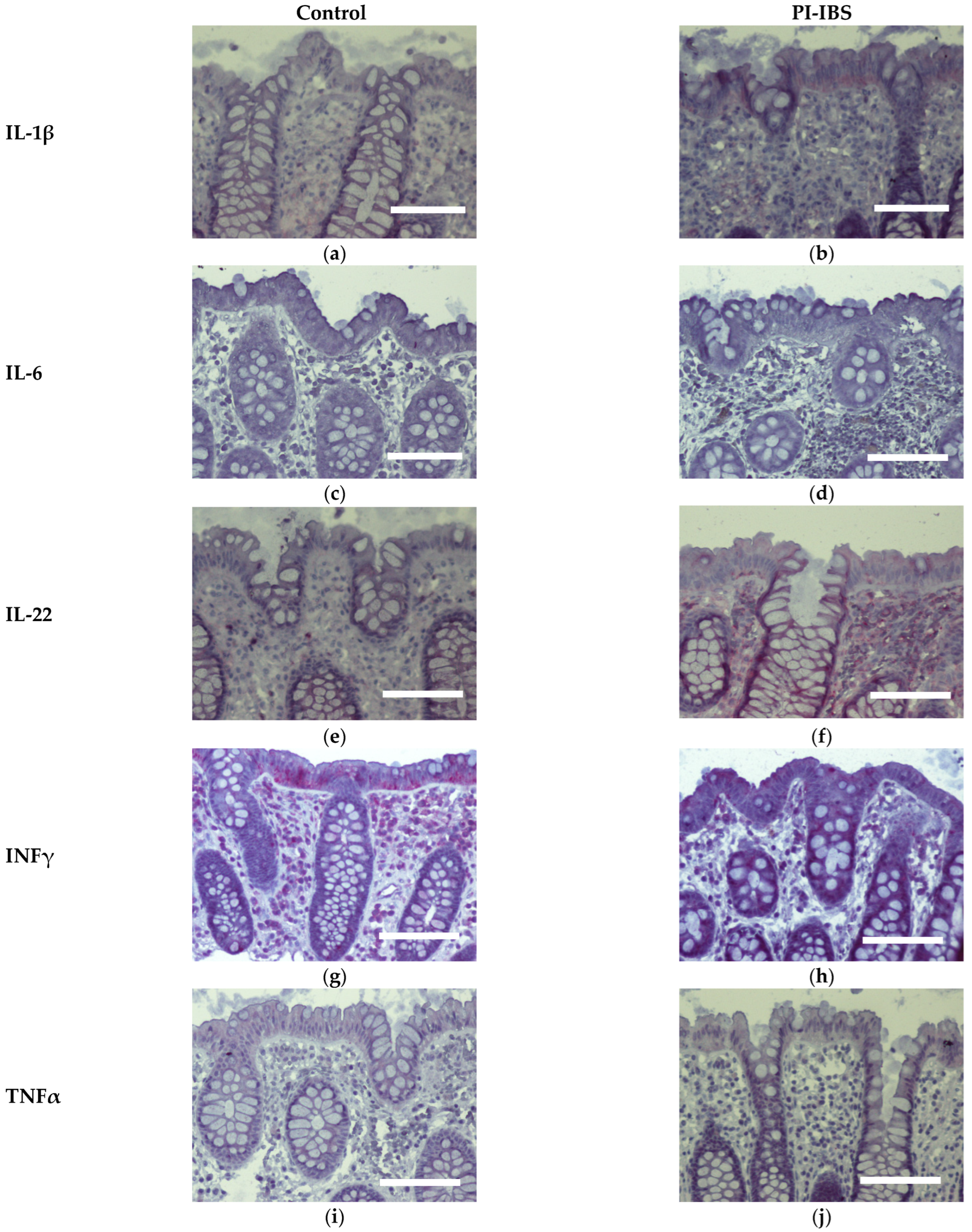 Biomolecules 13 00449 g007