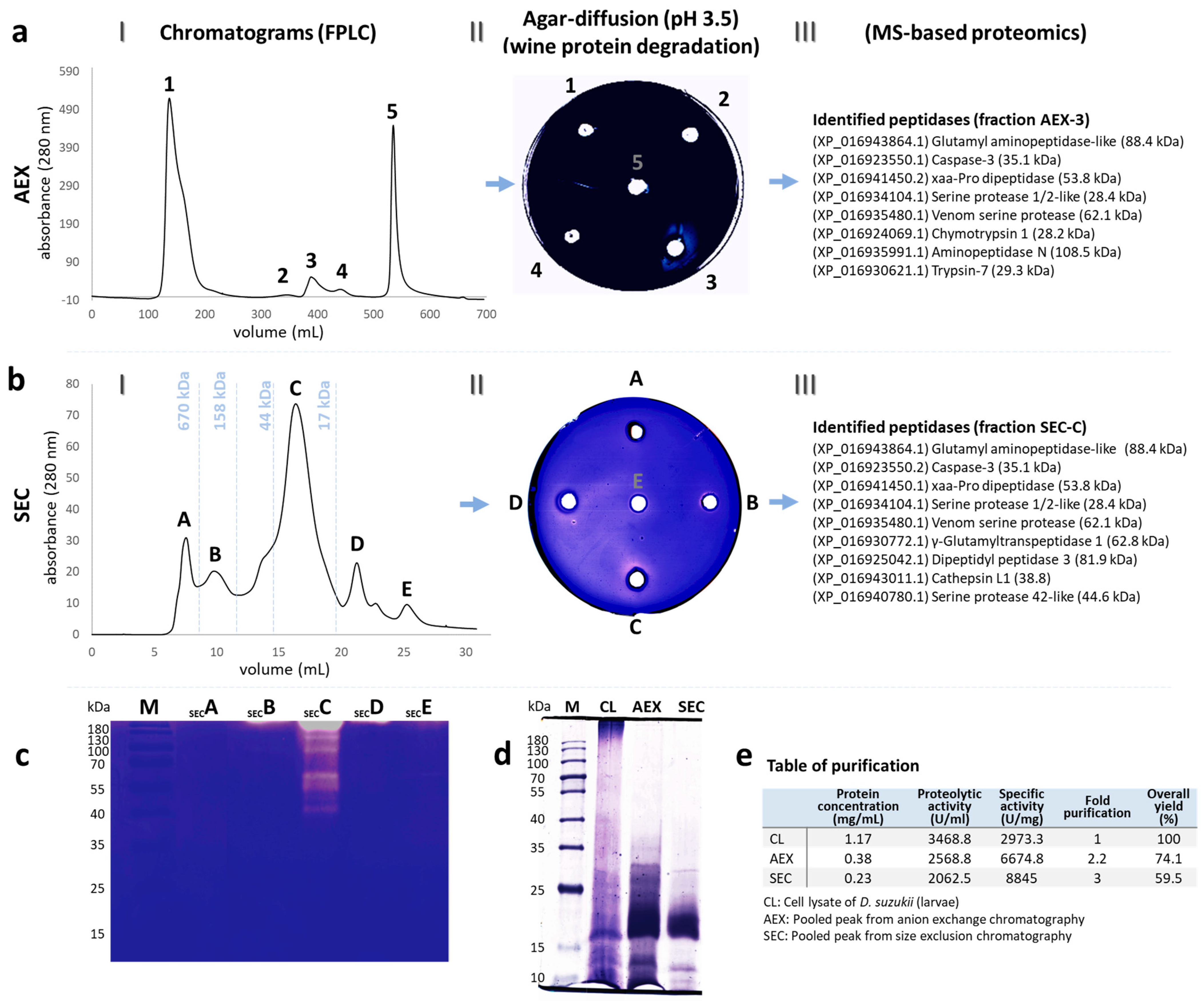 Biomolecules 13 00451 g002 Biomolecules 13 00451 g002