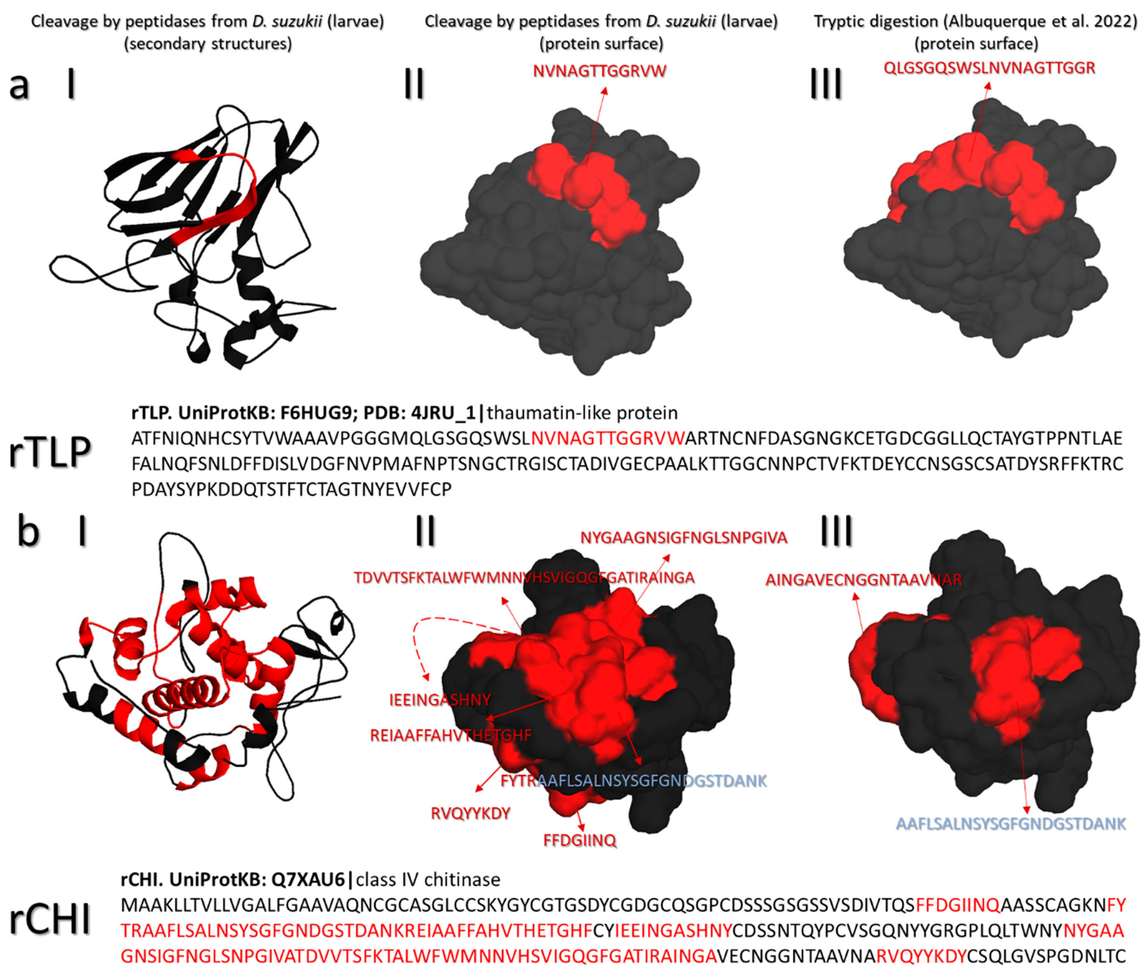 Biomolecules 13 00451 g003 Biomolecules 13 00451 g003