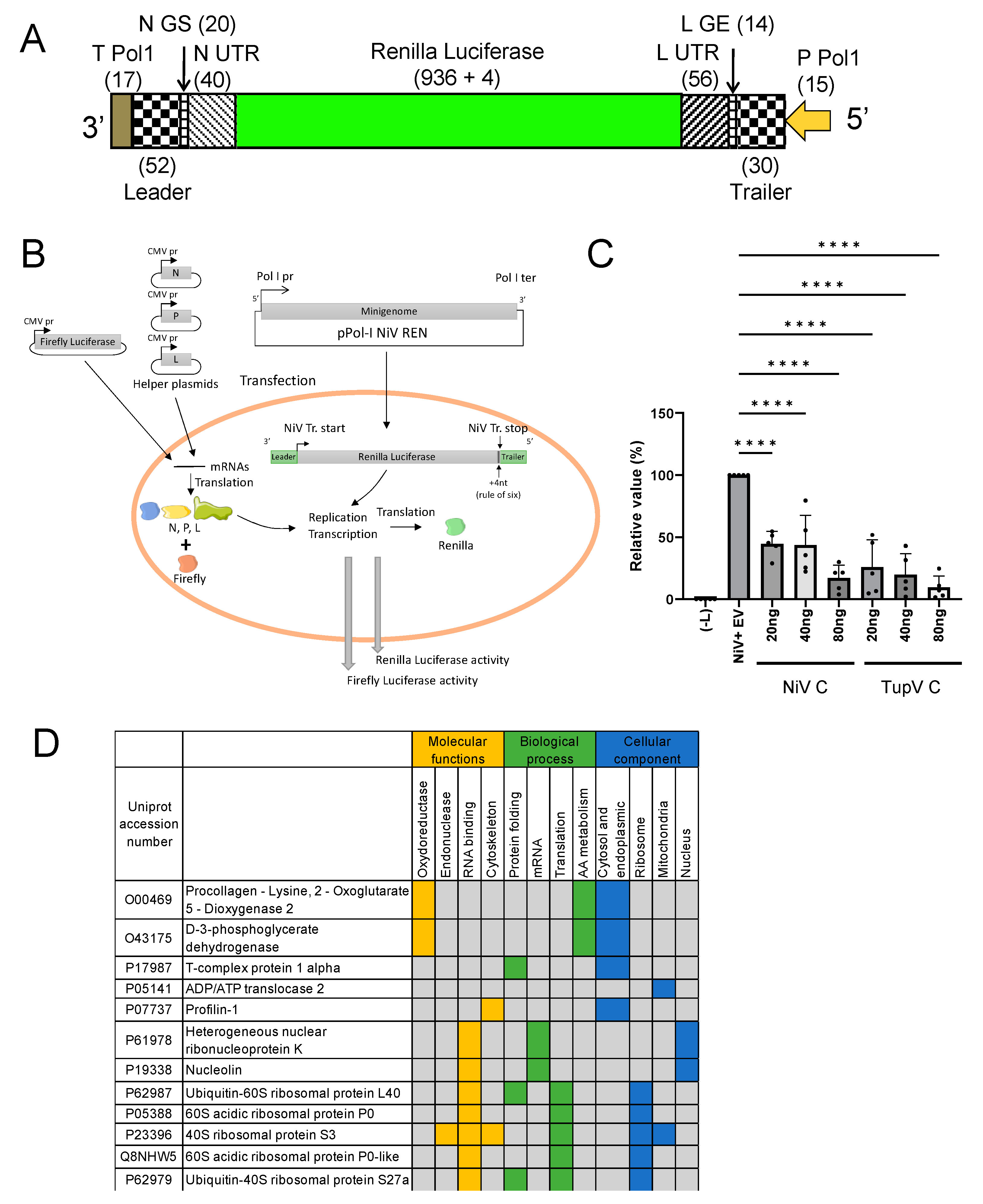 Biomolecules 13 00455 g010